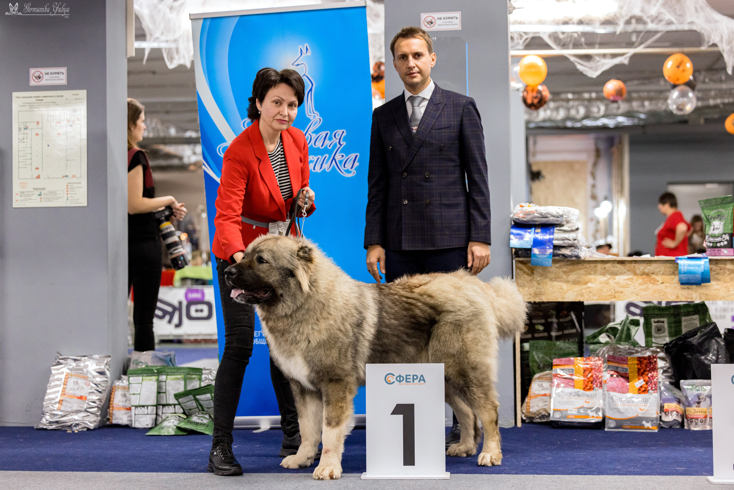 Сфера 29.10,Крокус 4.11,Сфера 12.11.2023. Фотограф-анималист Юлия Германика