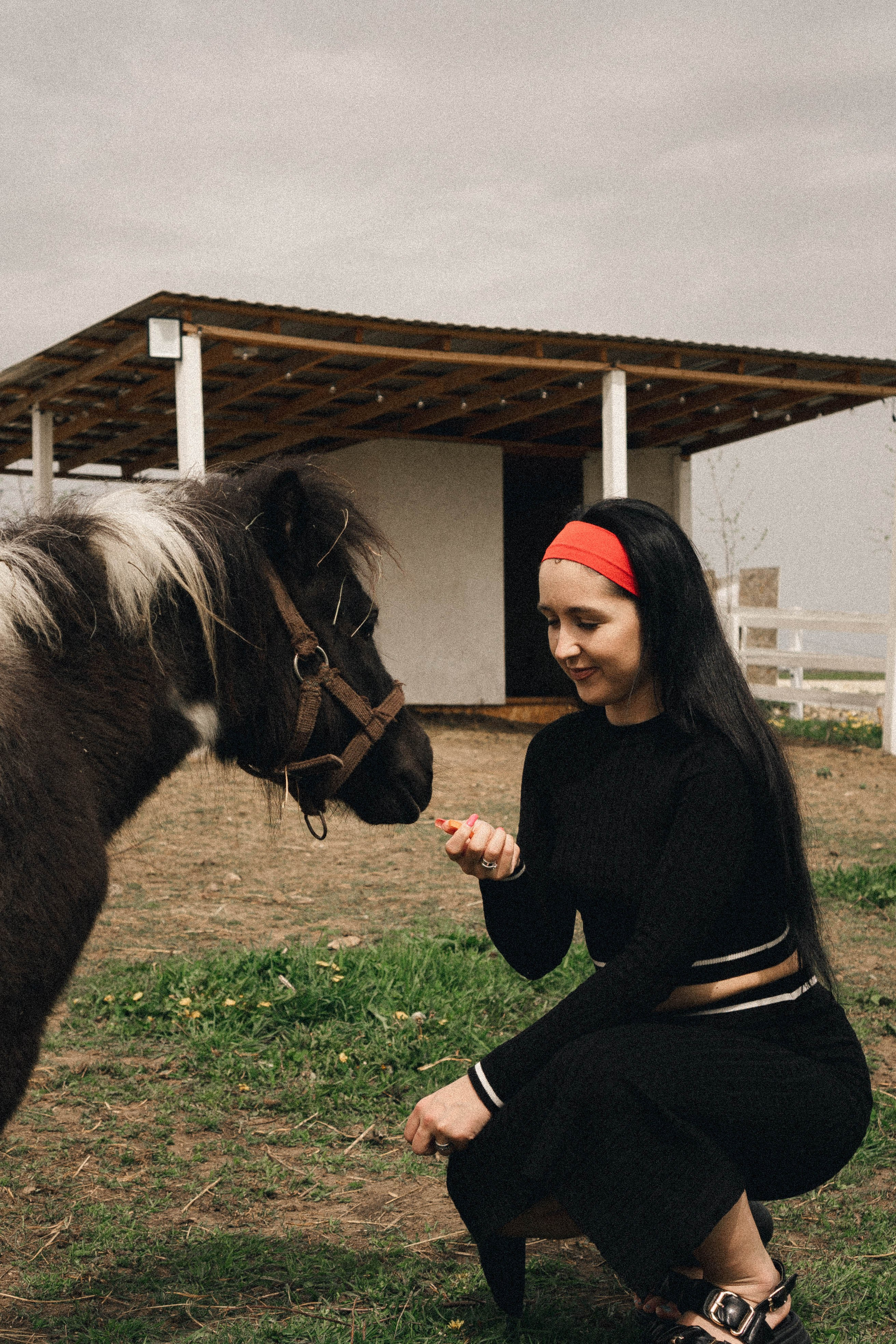 Ферма Альпак. Профессиональный фотограф, Санкт-Петербург — Виктория Богомолова