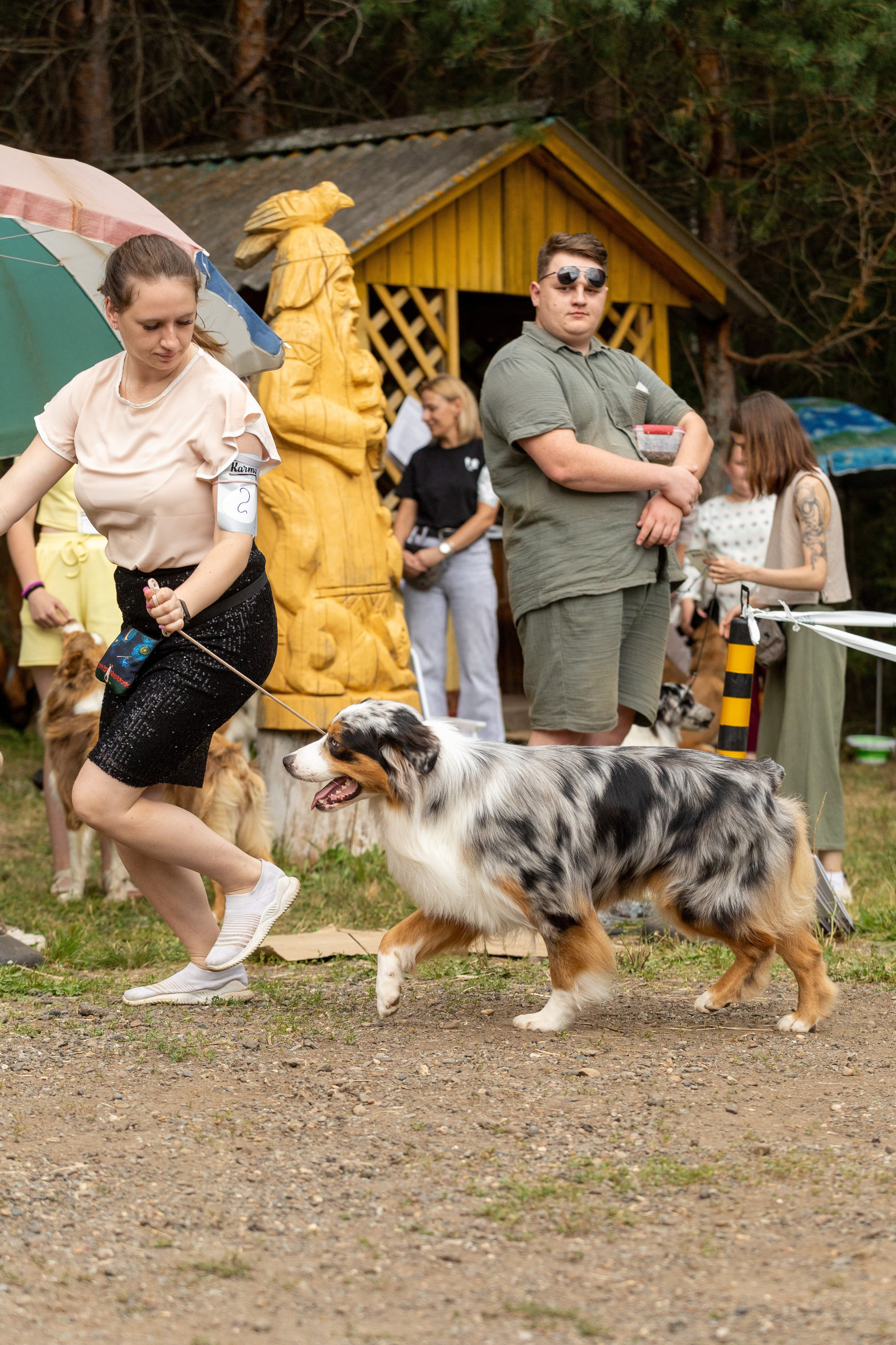 Собаки. Фотограф Яна Матвеева в Ижевске