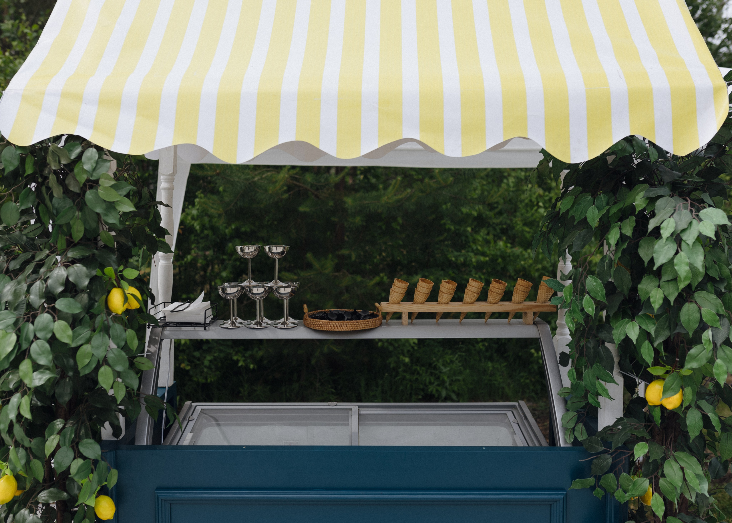 Яна и Сергей. Фотограф Вышний Волочек/Тверь/Москва/Санкт-Петербург