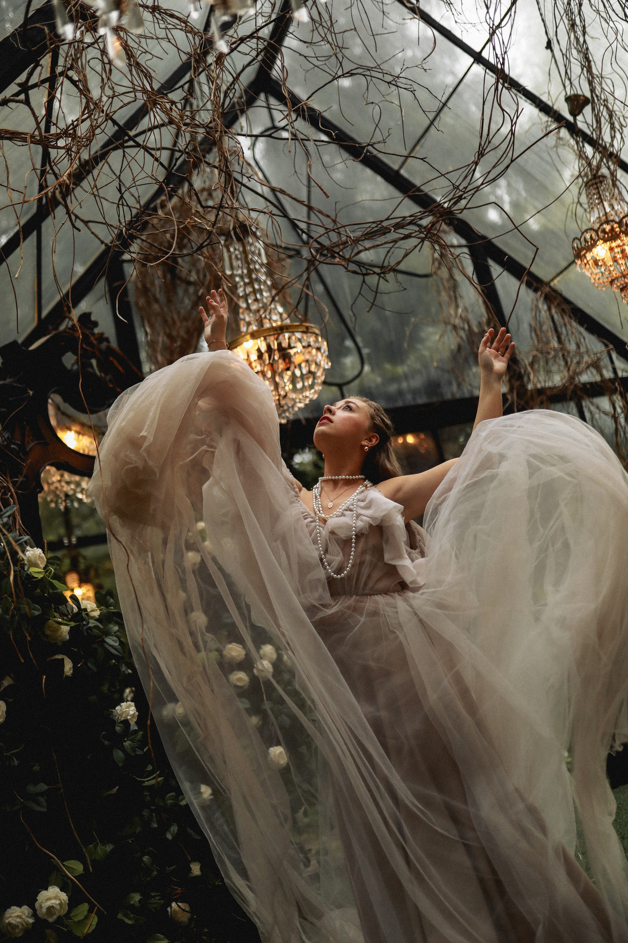 Зачарованный лес