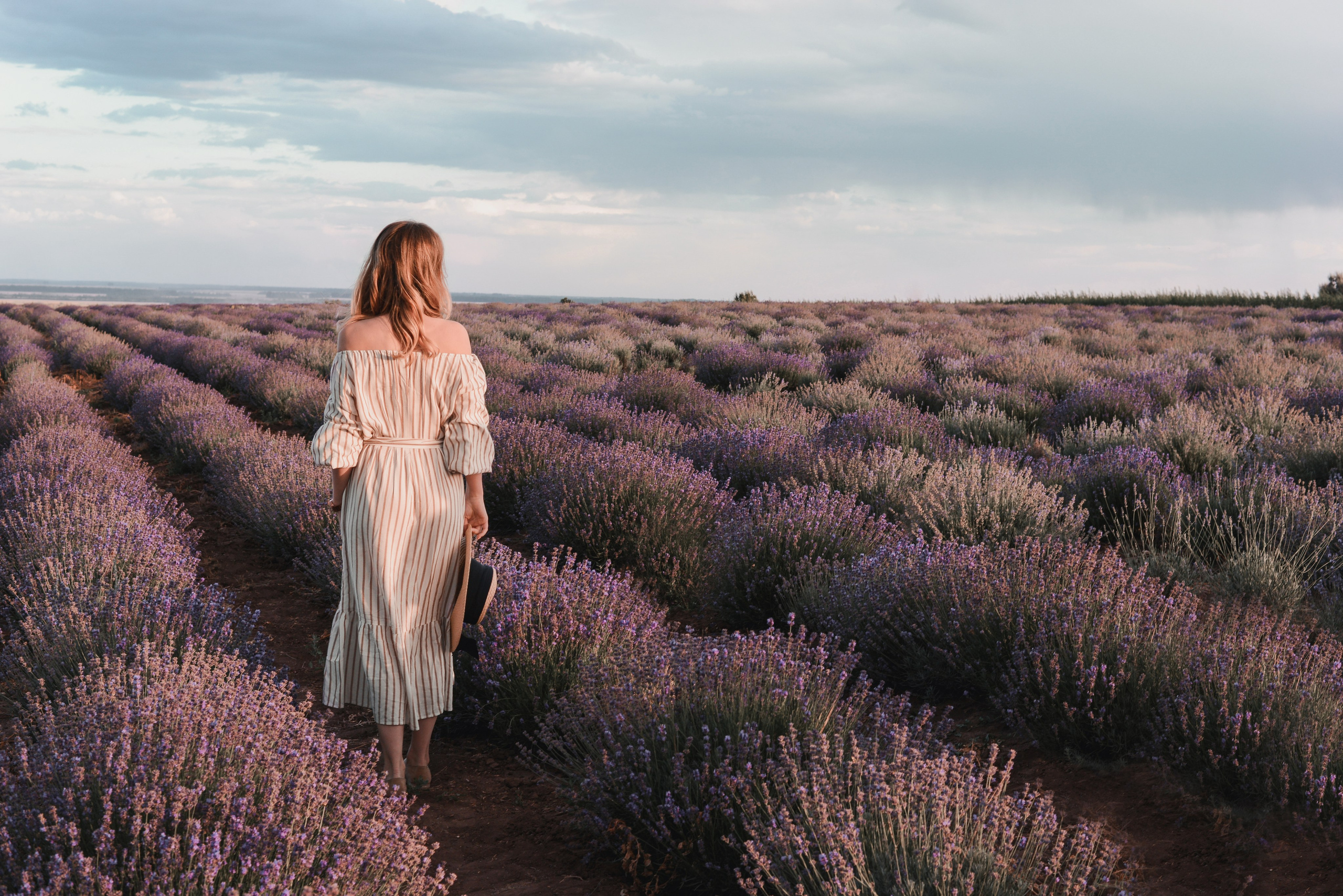Лавандовое поле. Фотограф Ярута Оксана / Ростов-на-Дону