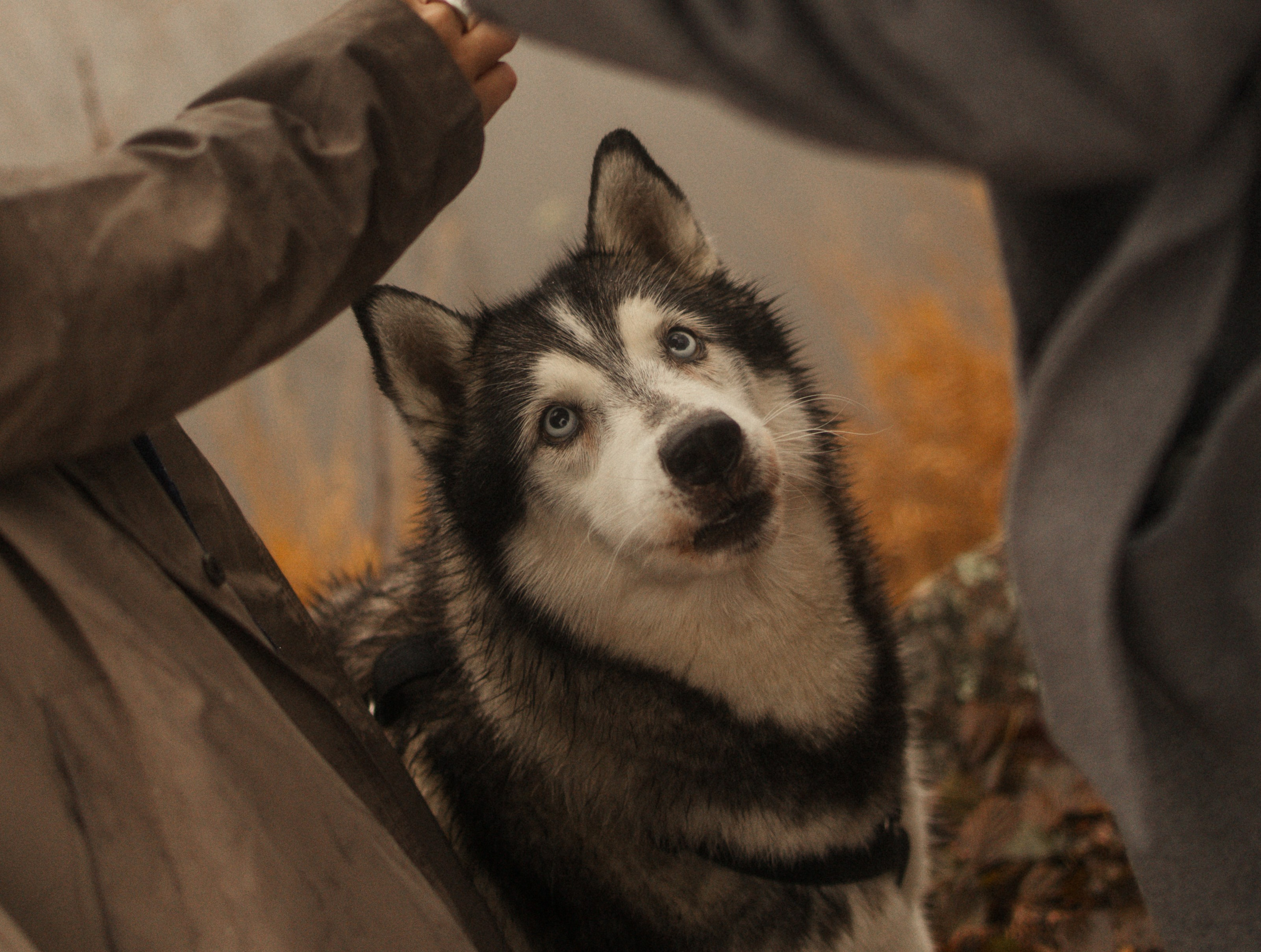 Лена, Глеб, Ральф и Рэй. Фотограф в Выборге и Санкт-Петербурге Маша Гуляева