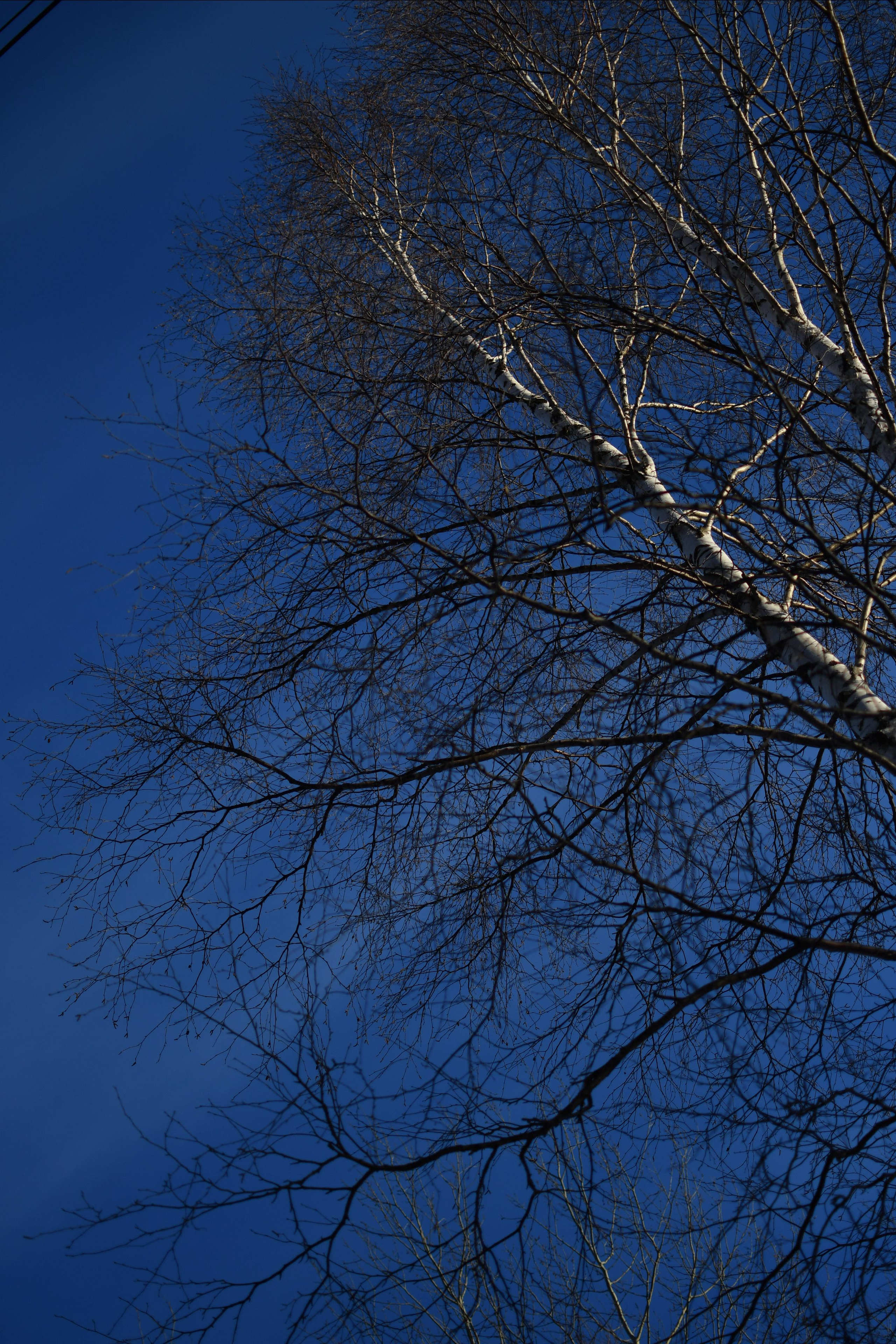 Наша природа. Ольга Злобина фотограф Пойковский, ХМАО