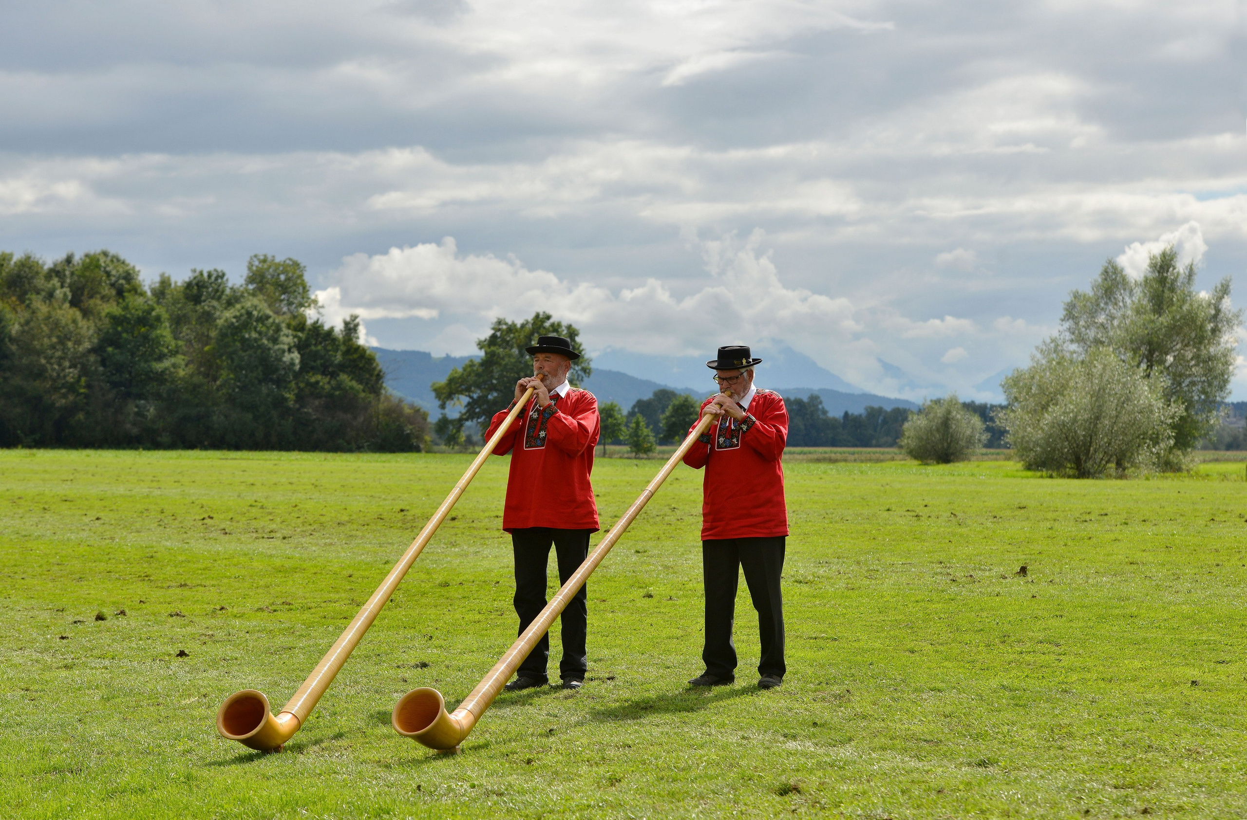 Polo art photos. Art photos of horses — ARTUR BABOEV | Photographer