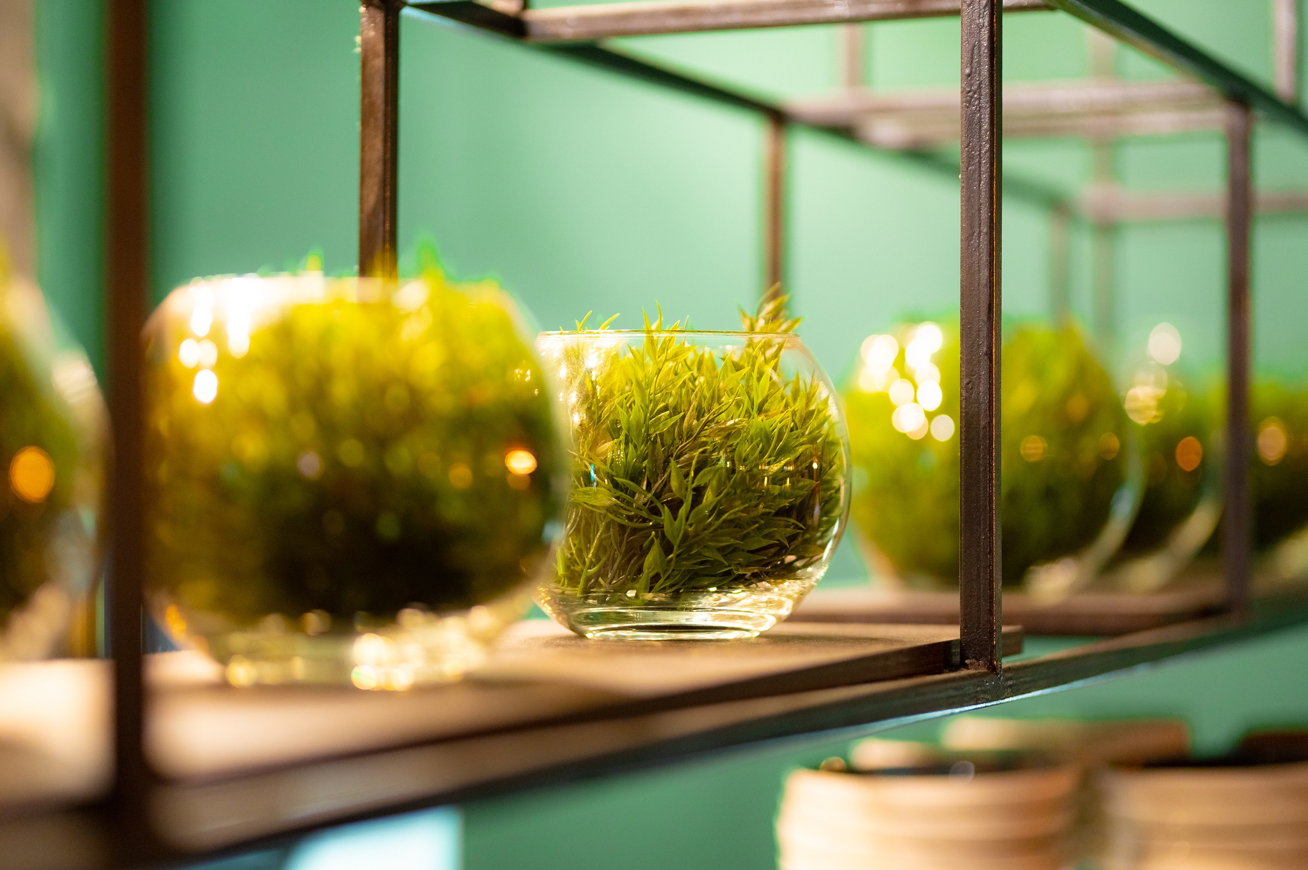 Пели ели на качели. ProfotoNK