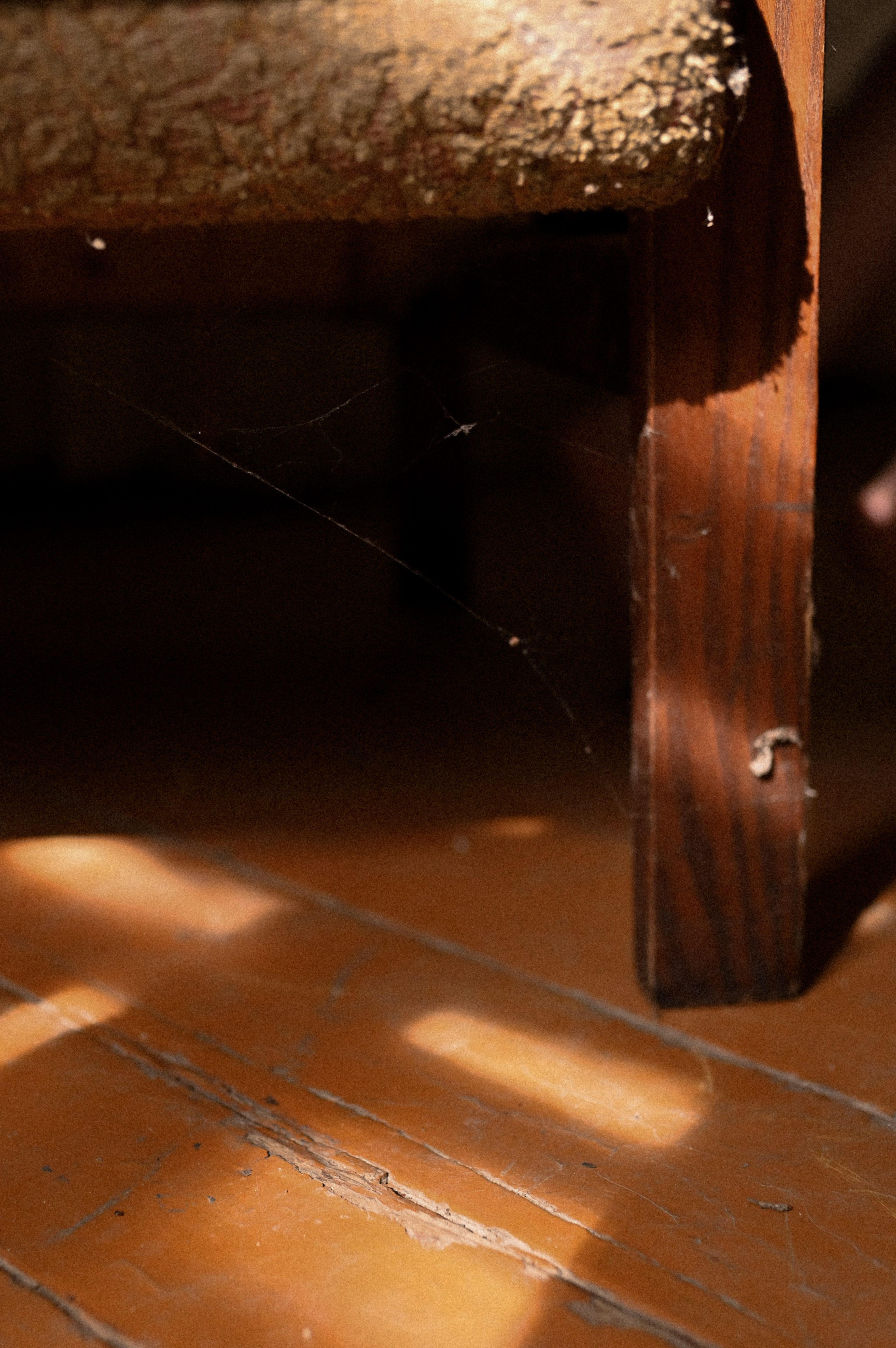 Алина. Твой личный проводник к красивым фотографиям в Старом Осколе