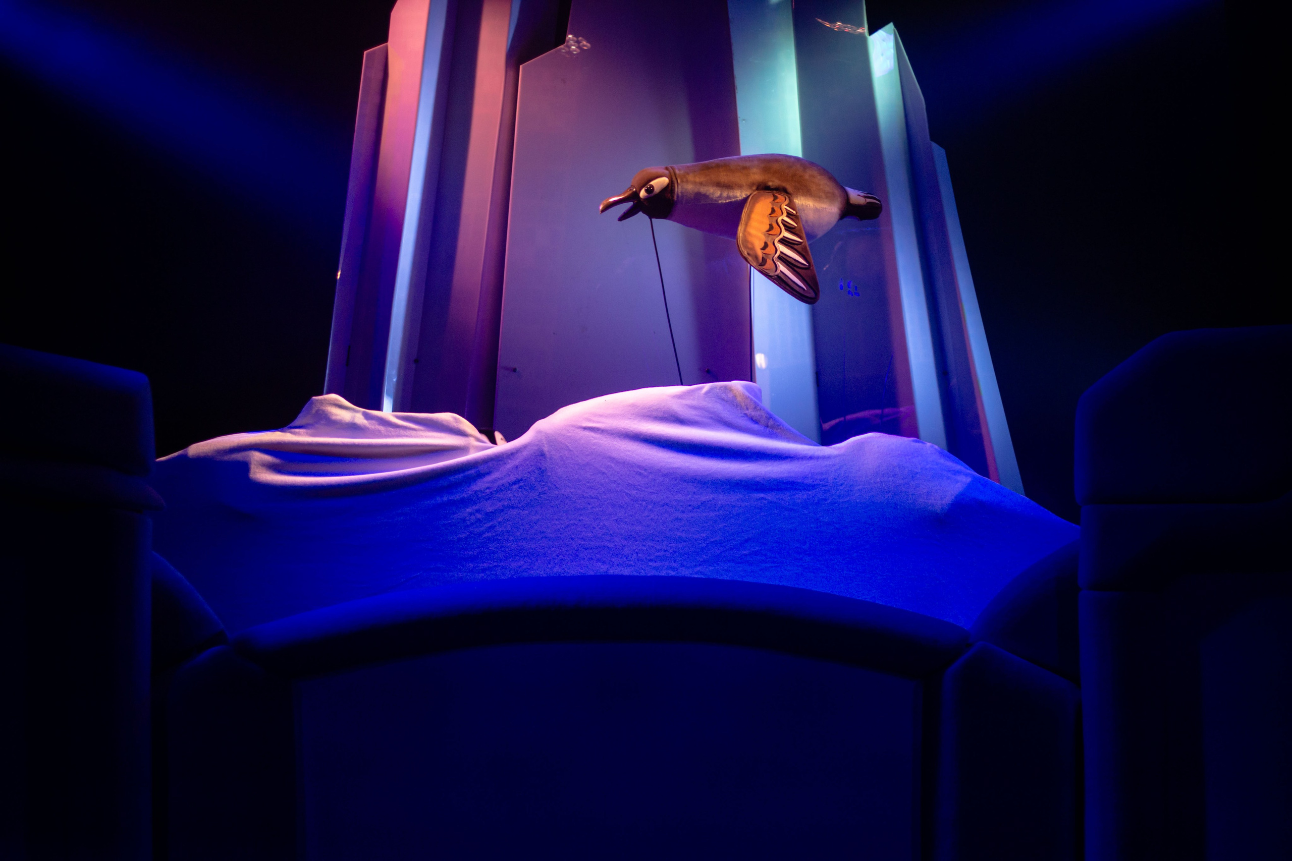 Бродячая собачка. Юля Мурашова портретный и документальный фотограф