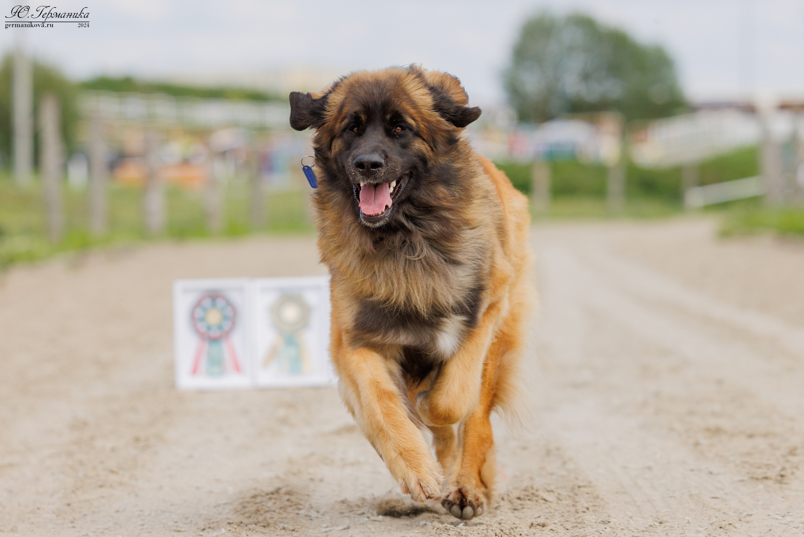 РОССИЯ 8-9.06.2024. Фотограф-анималист Юлия Германика