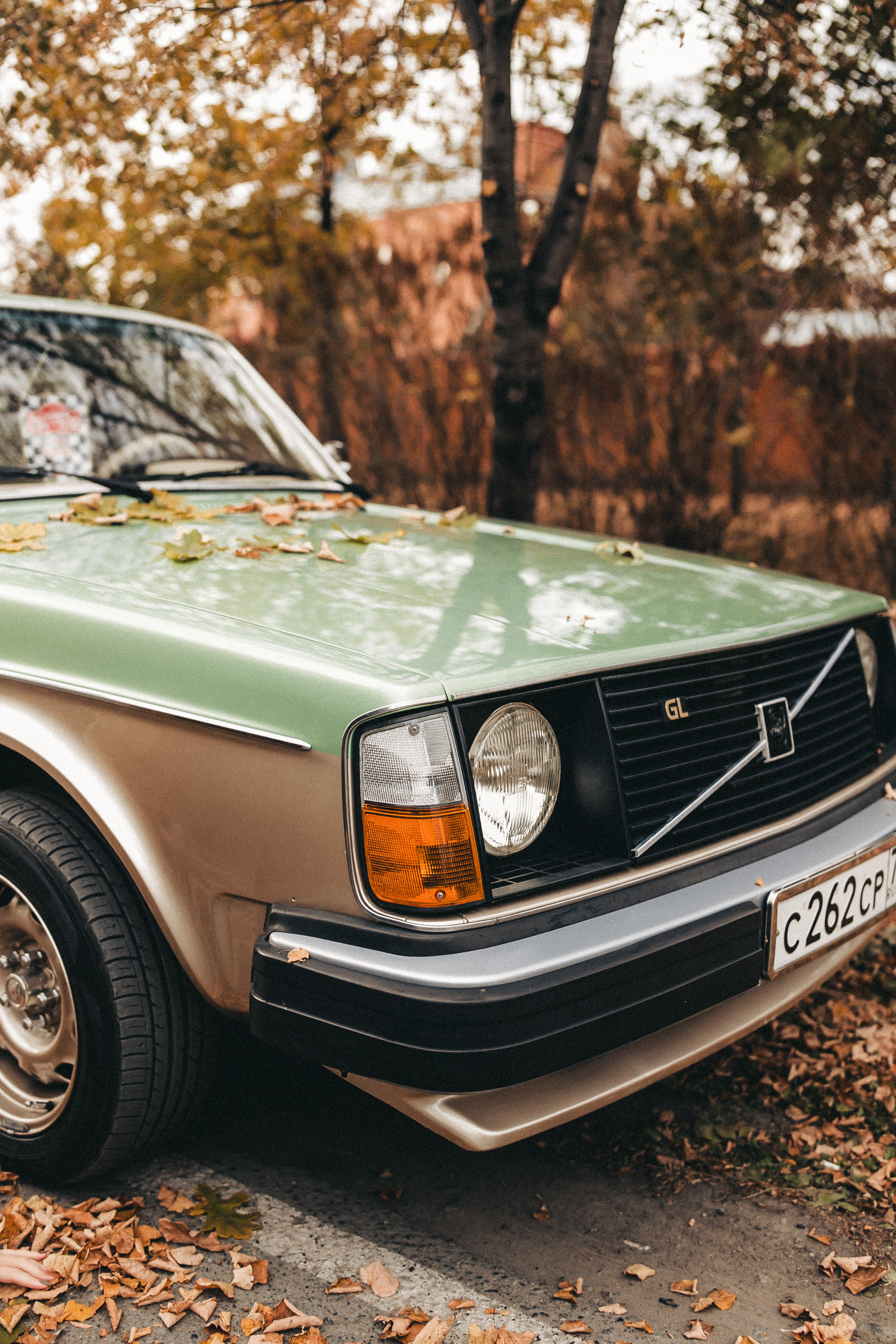 Арина. Фотограф в Тюмени Пушкарева Анастасия