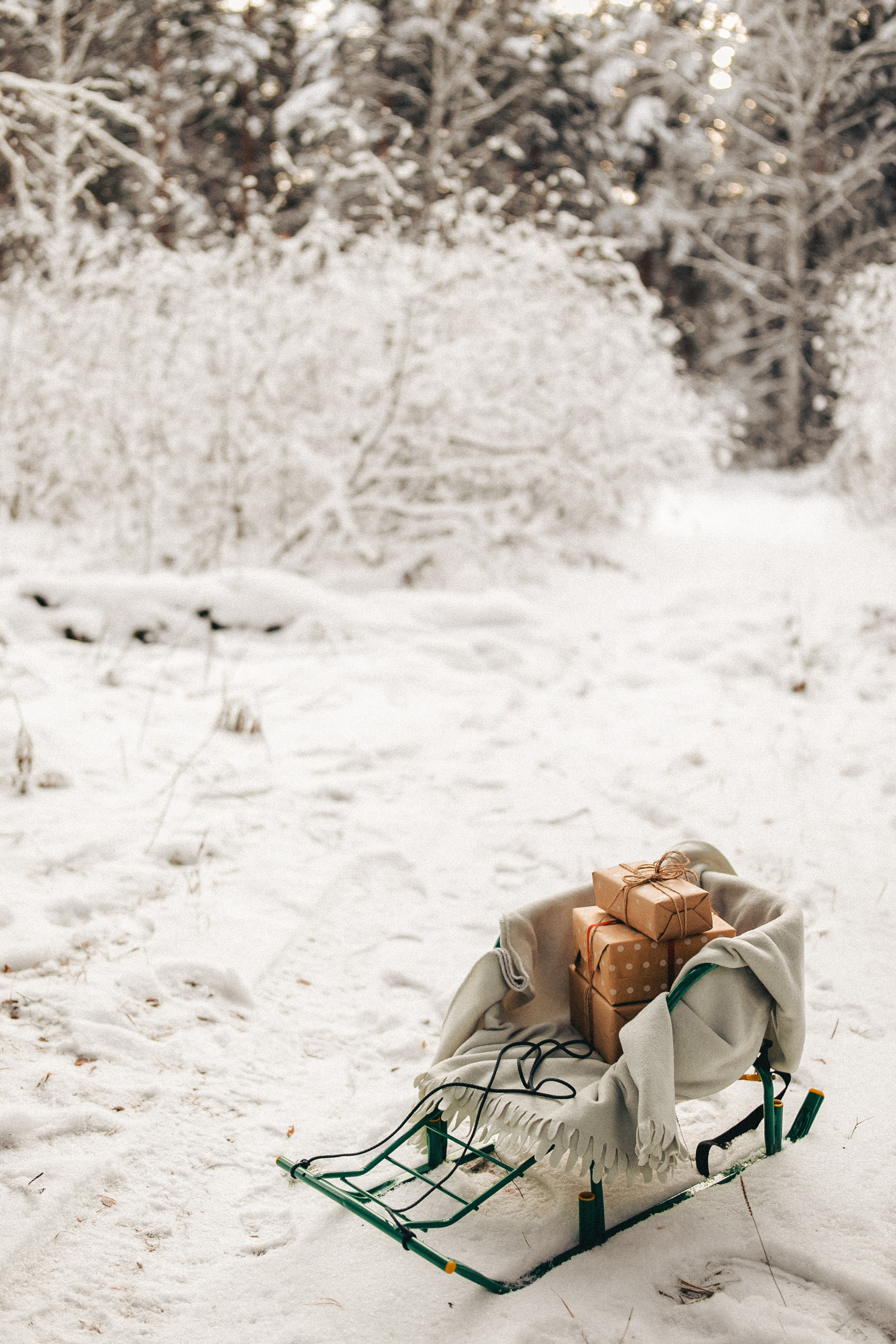 Снежная история. Фотограф в Тюмени Пушкарева Анастасия
