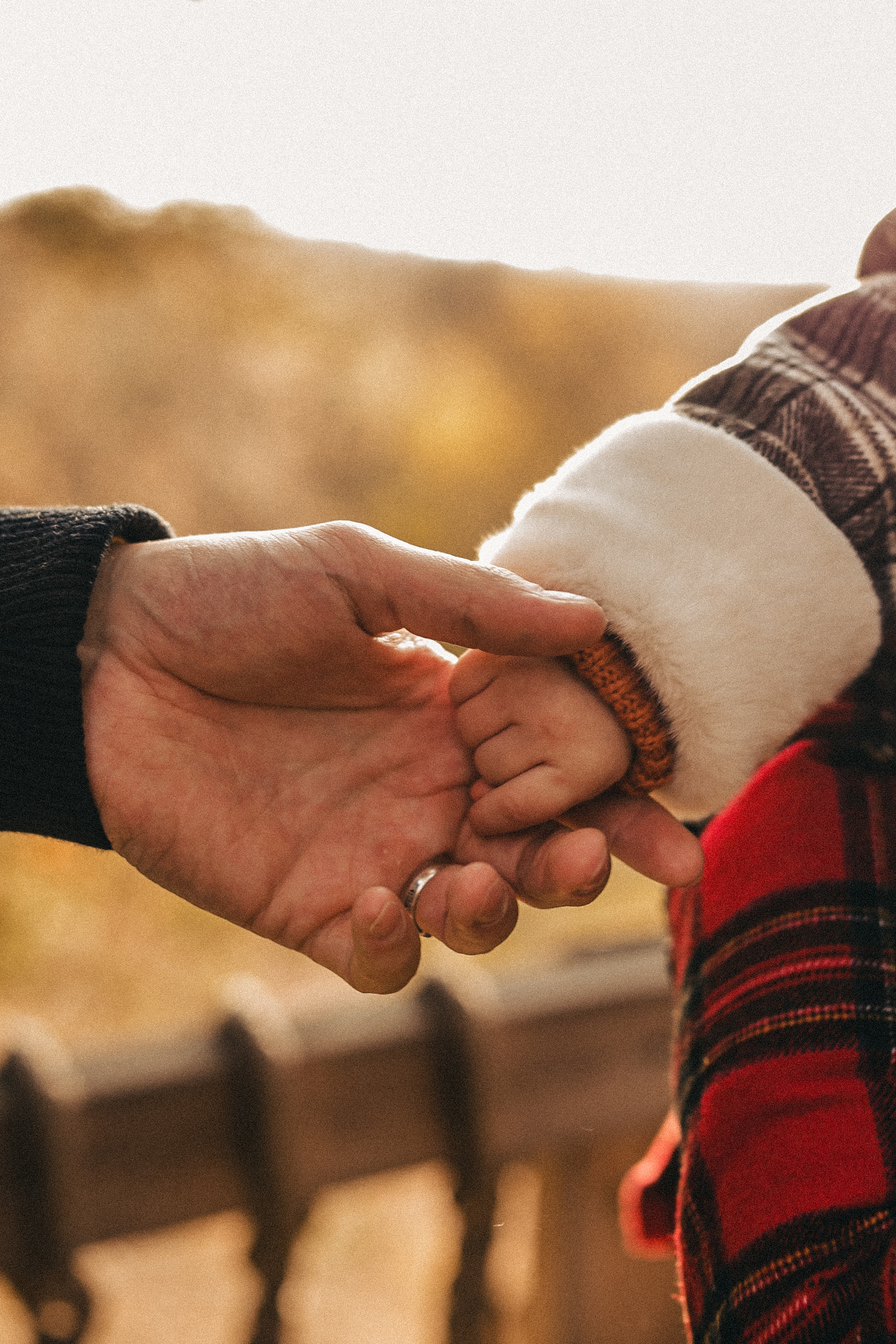 Маленький гномик. Фотограф в Тюмени Пушкарева Анастасия