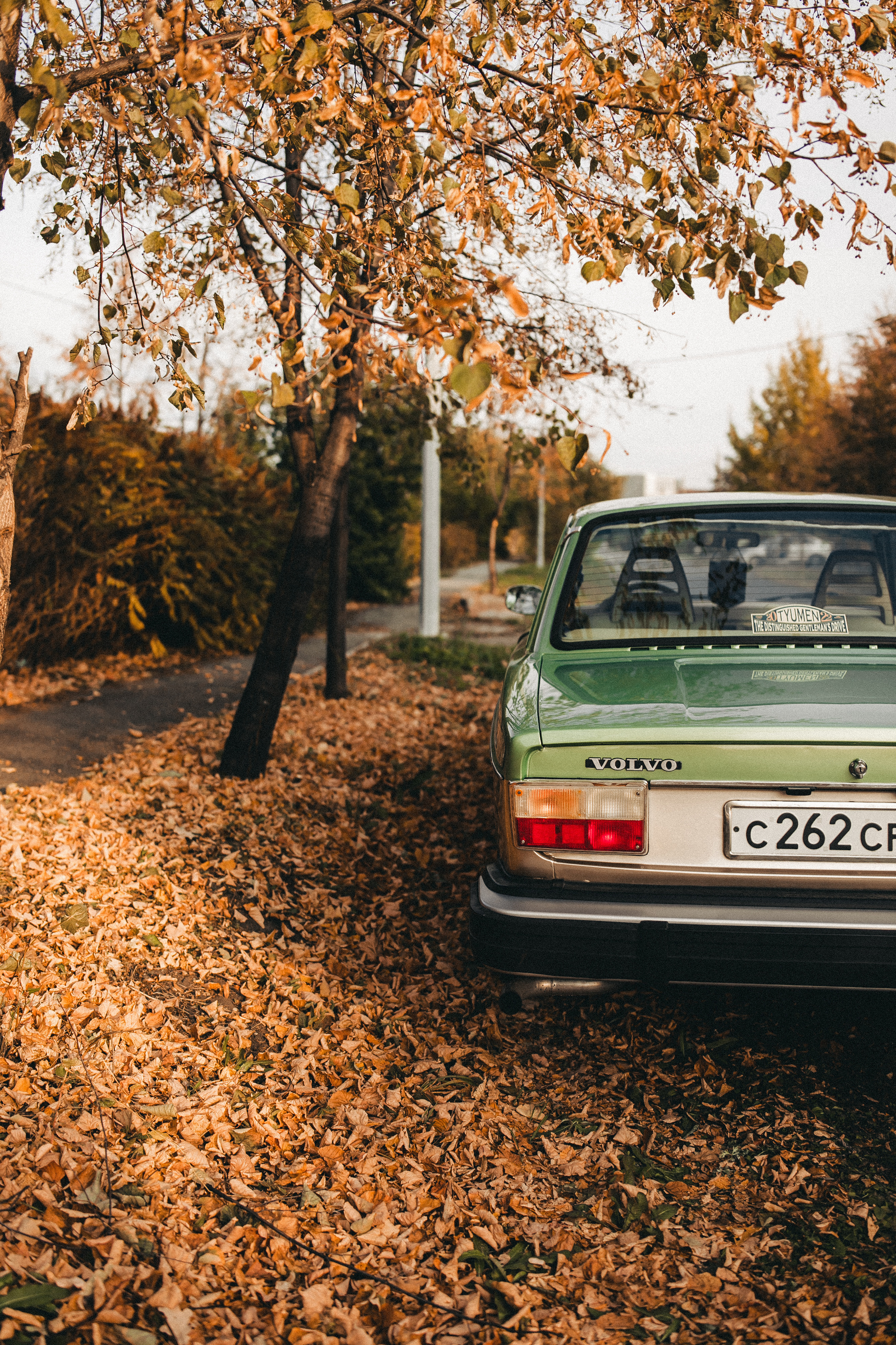 Арина. Фотограф в Тюмени Пушкарева Анастасия