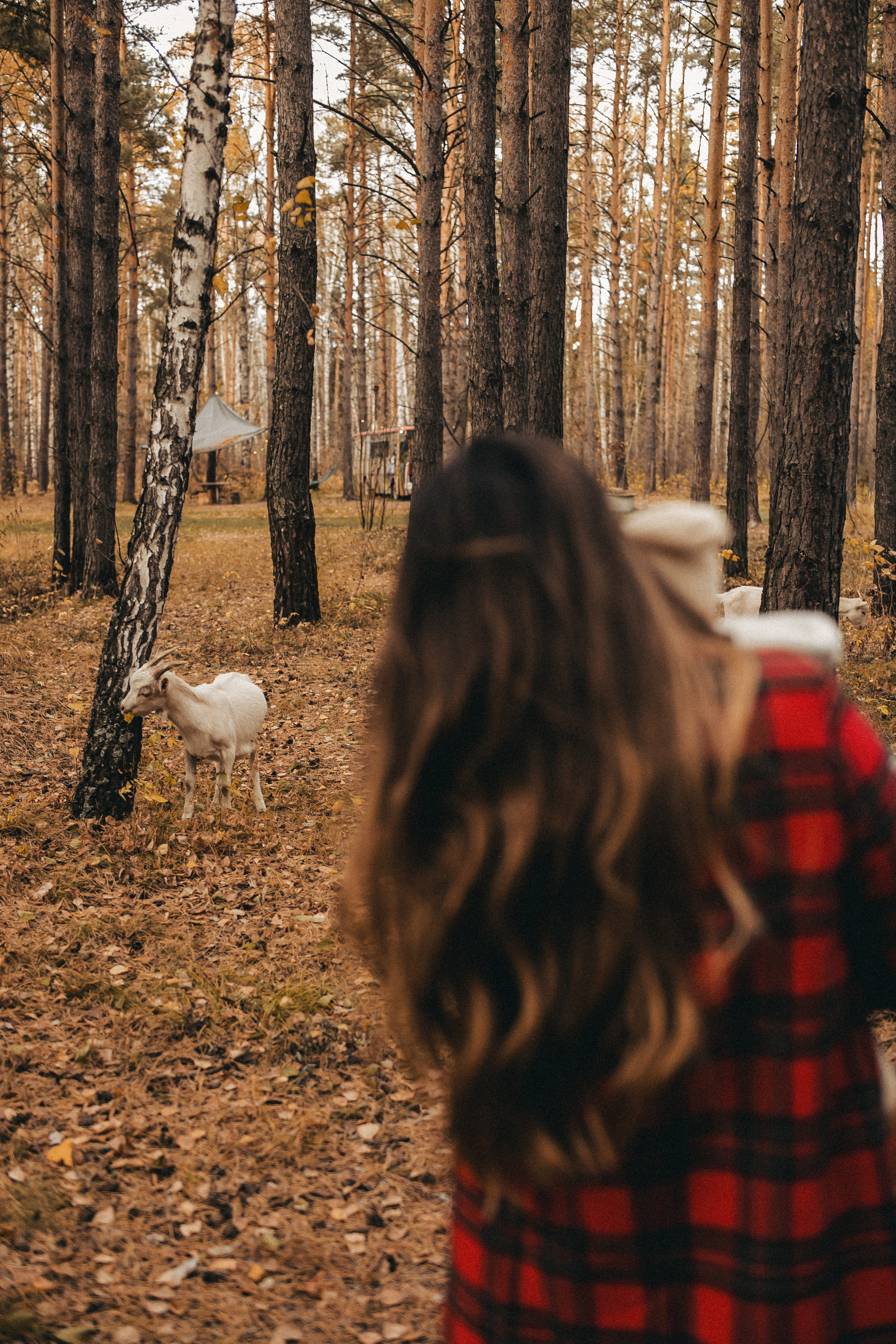 Маленький гномик. Фотограф в Тюмени Пушкарева Анастасия