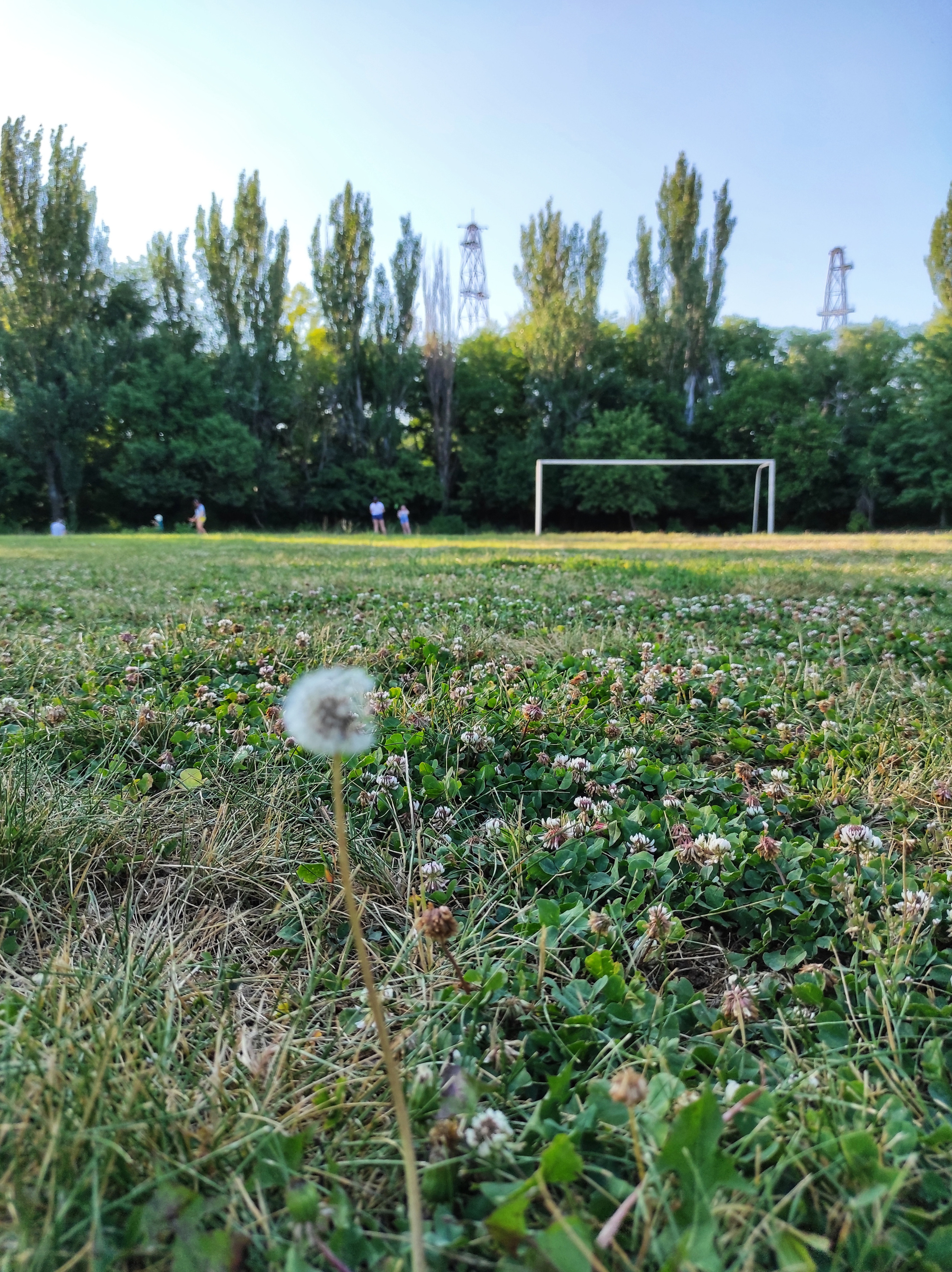 Футбол. Коммерческий фотограф. Ростов-на-Дону. Дарья Константинова