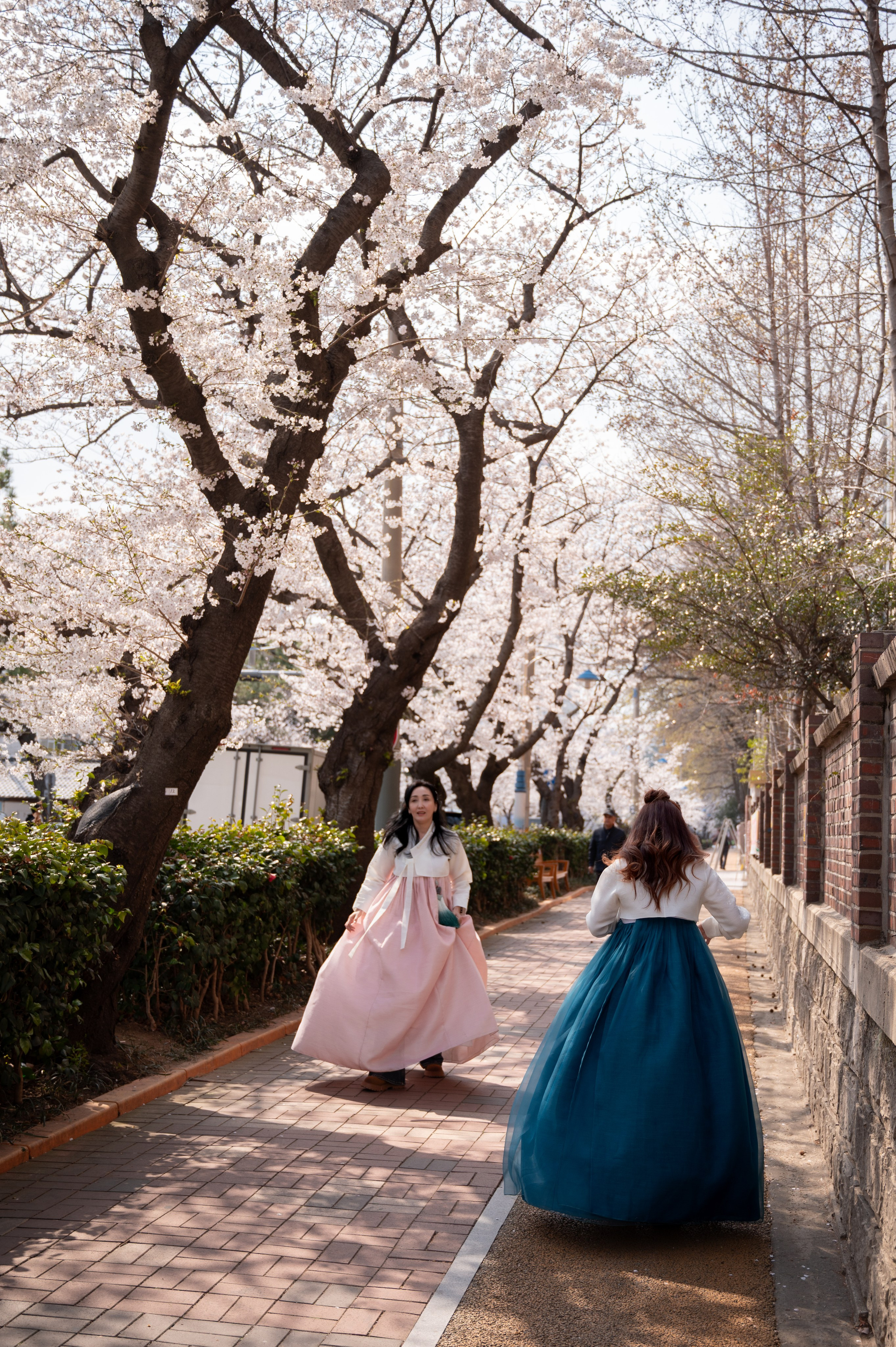 Busan hanbok rental options for couples family and travel photos