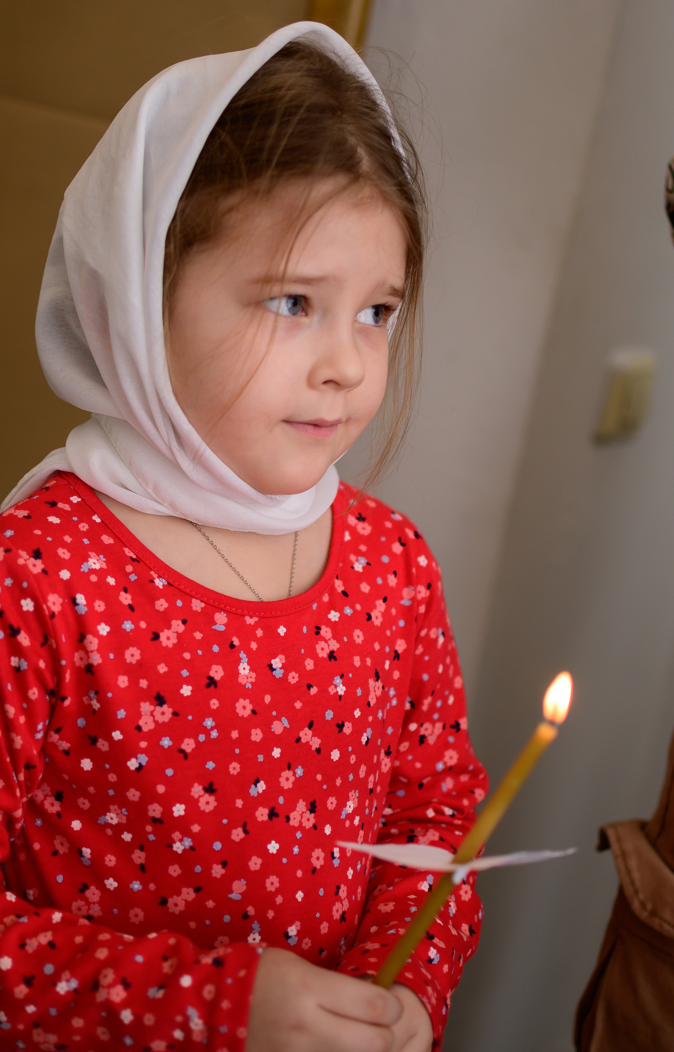 Крещение. Фотограф и Видеомейкер г. Псков