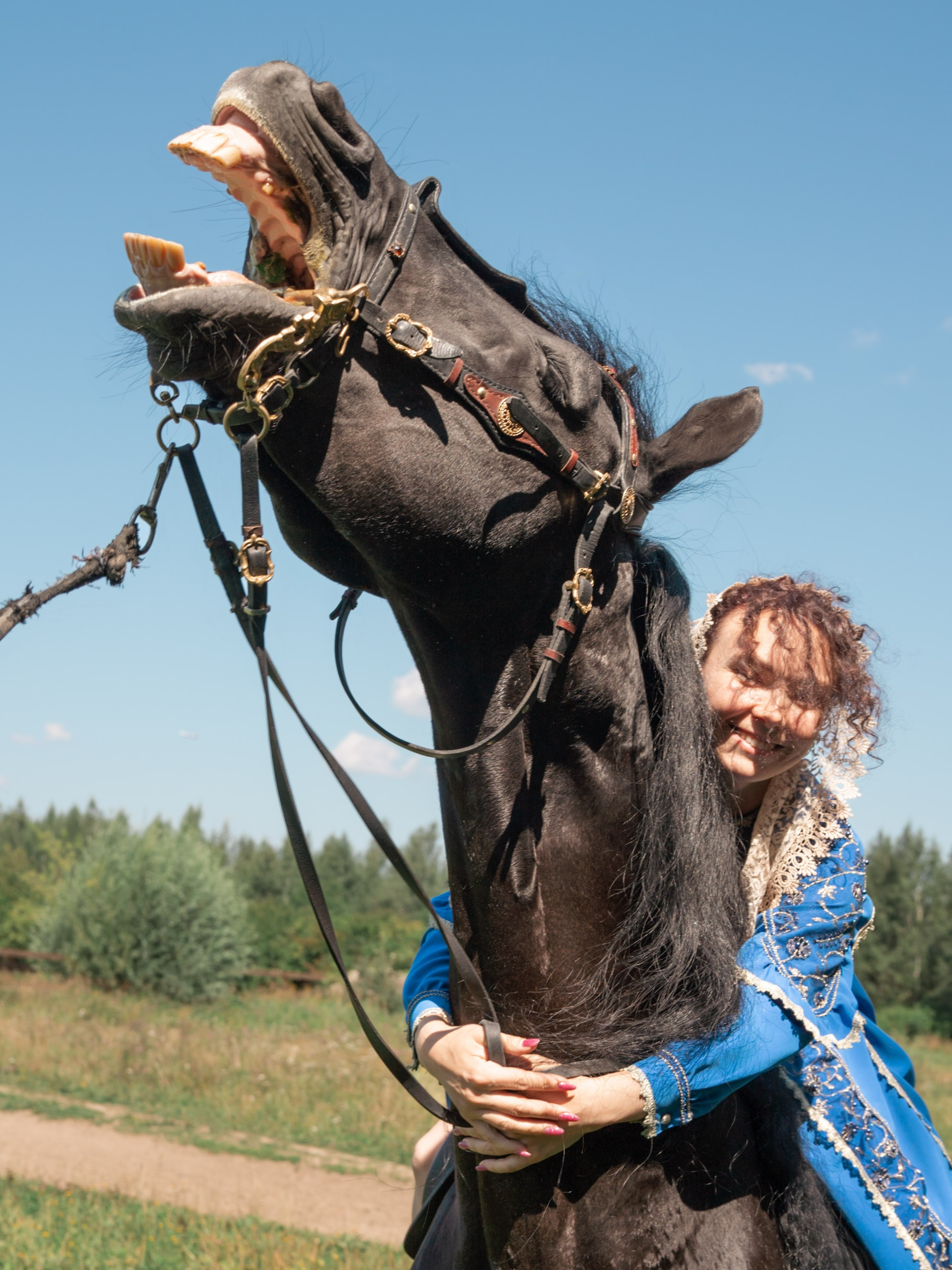 Лошадки Лето. Фотограф Зинаида Евдокимова