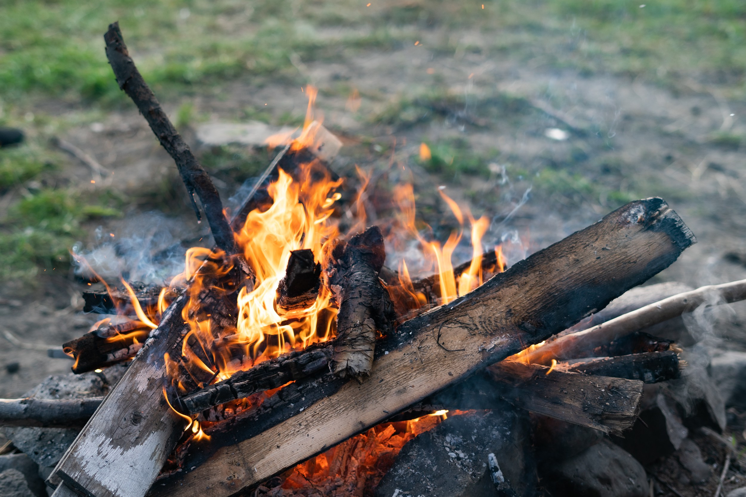 Музыкальная экоакция «Чистая Собь» 08.24. Фотограф Екатерина Зорина