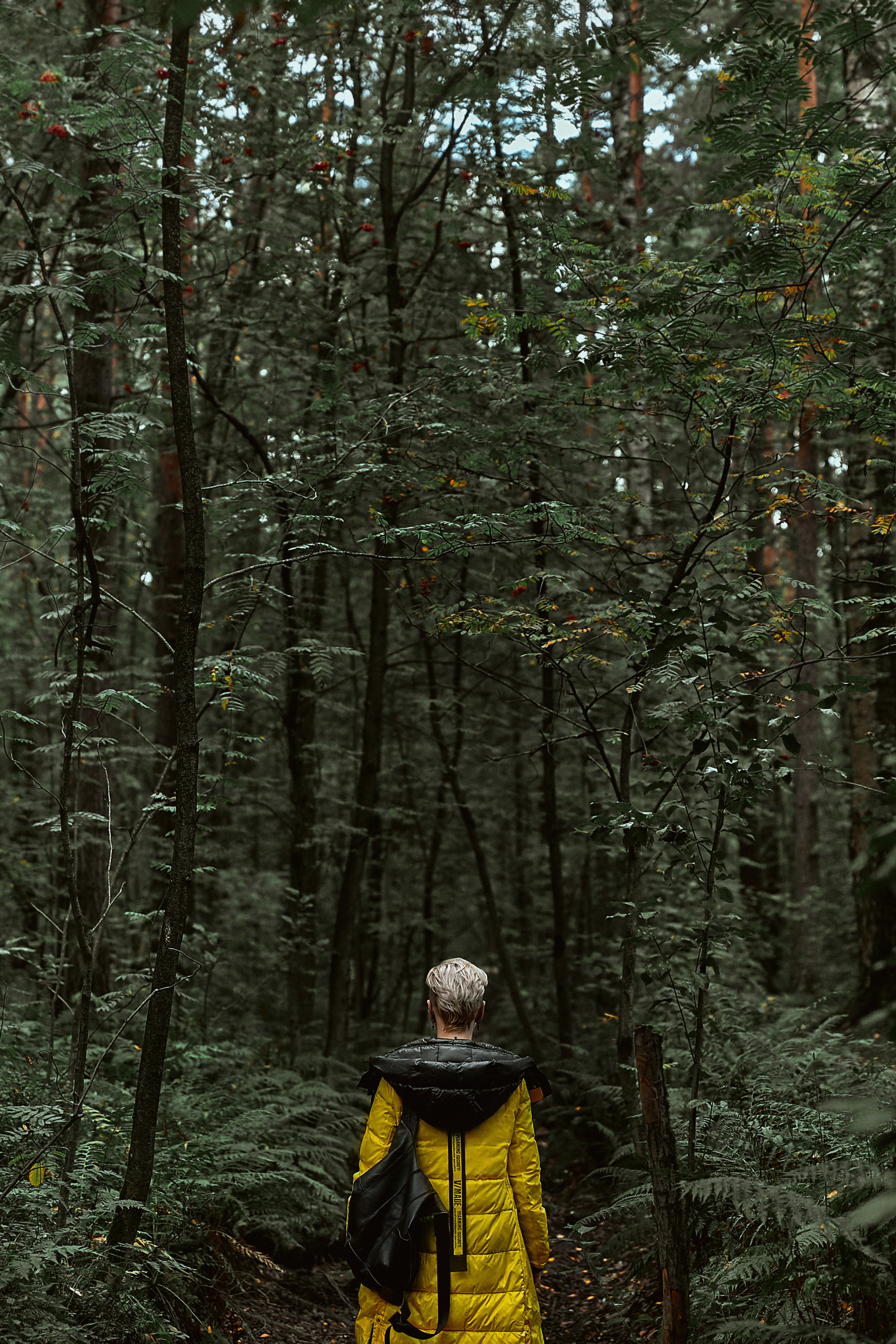 Выездная съемка в лесу в стиле сериала «Тьма». Рекламный фотограф Санкт-Петербург Катерина Мишкель