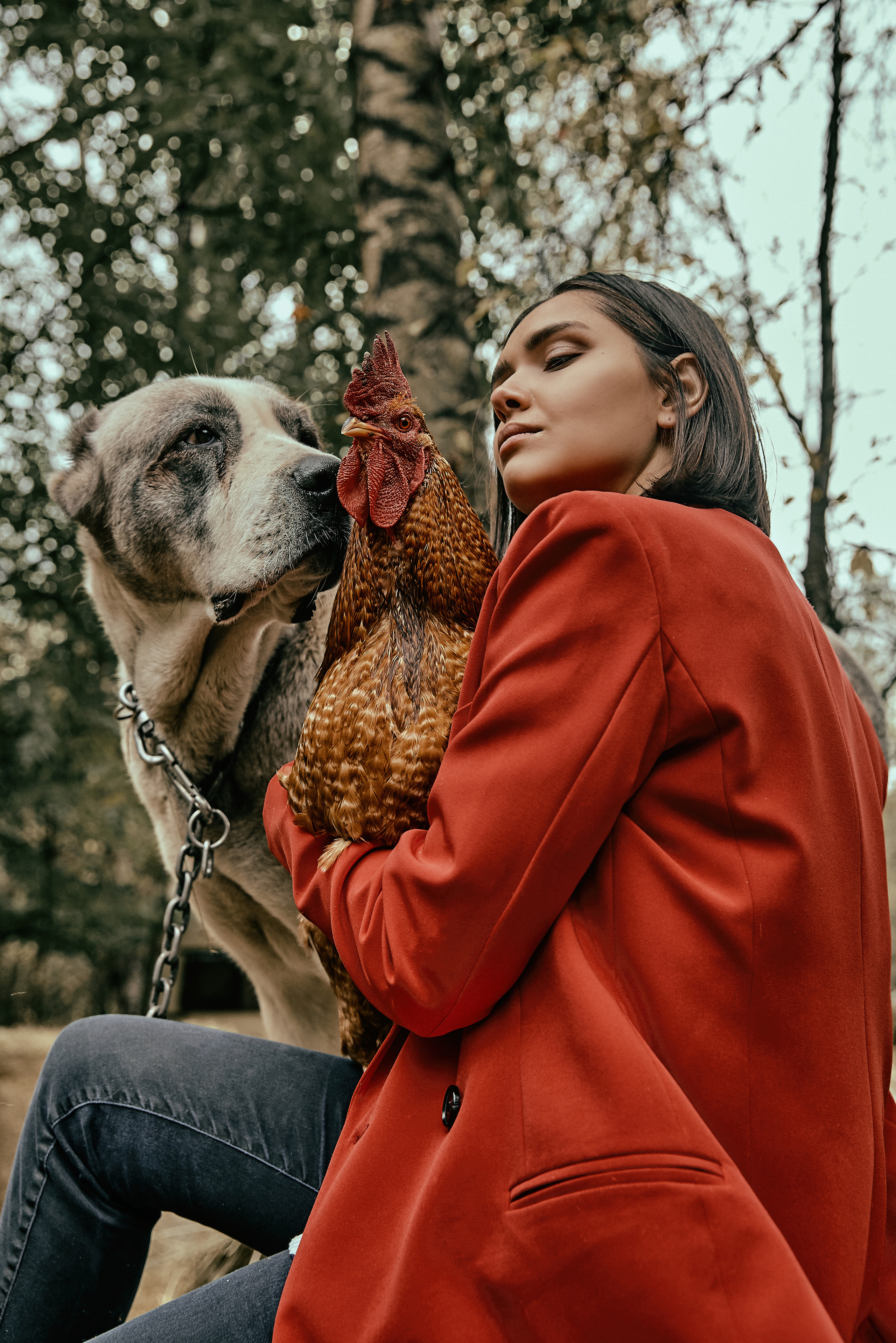Фотосессия с лошадьми в конном клубе Петербурга. Рекламный фотограф Санкт-Петербург Катерина Мишкель