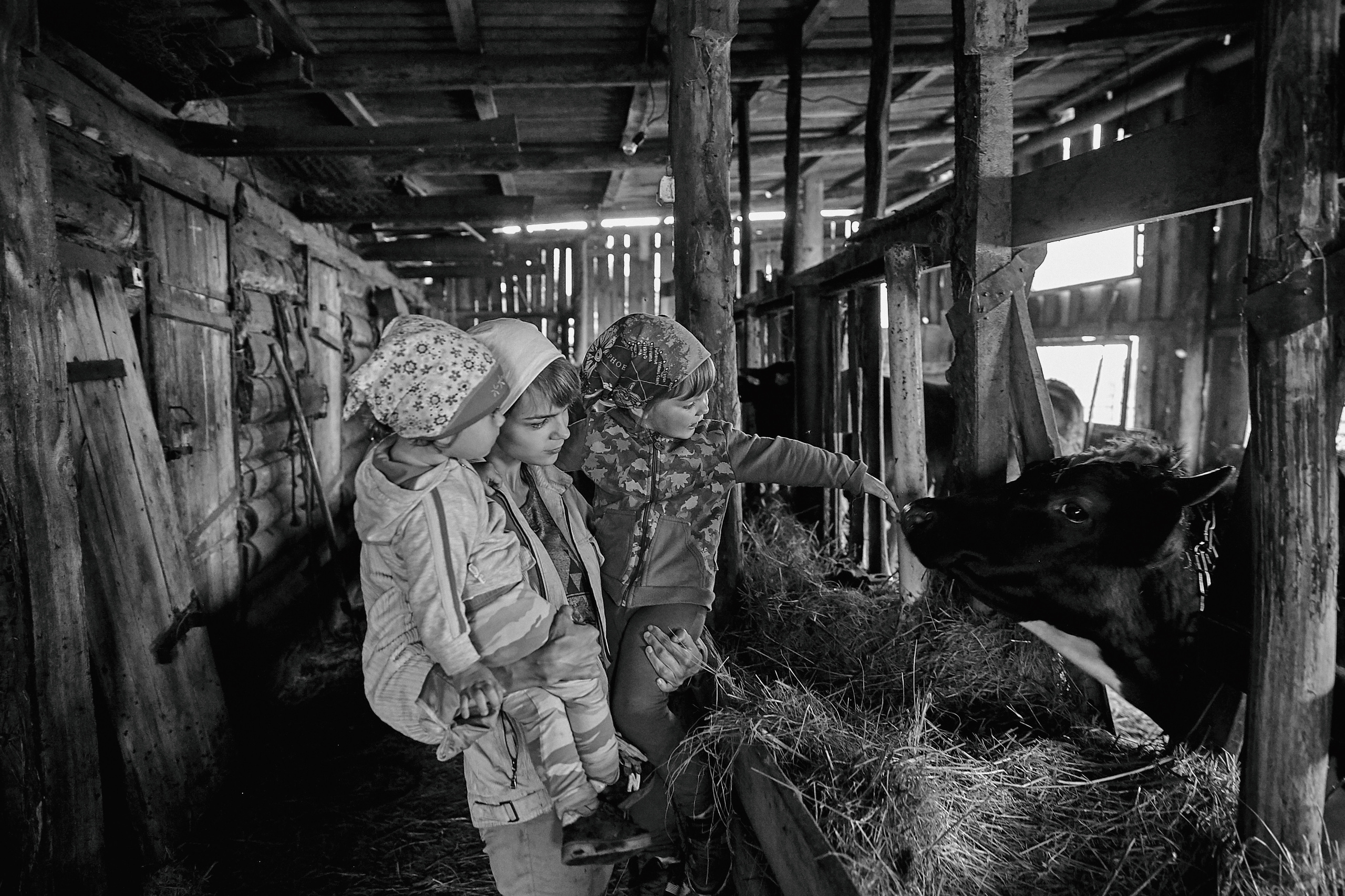 Семейная фотосессия в деревне. Рекламный фотограф Санкт-Петербург Катерина Мишкель