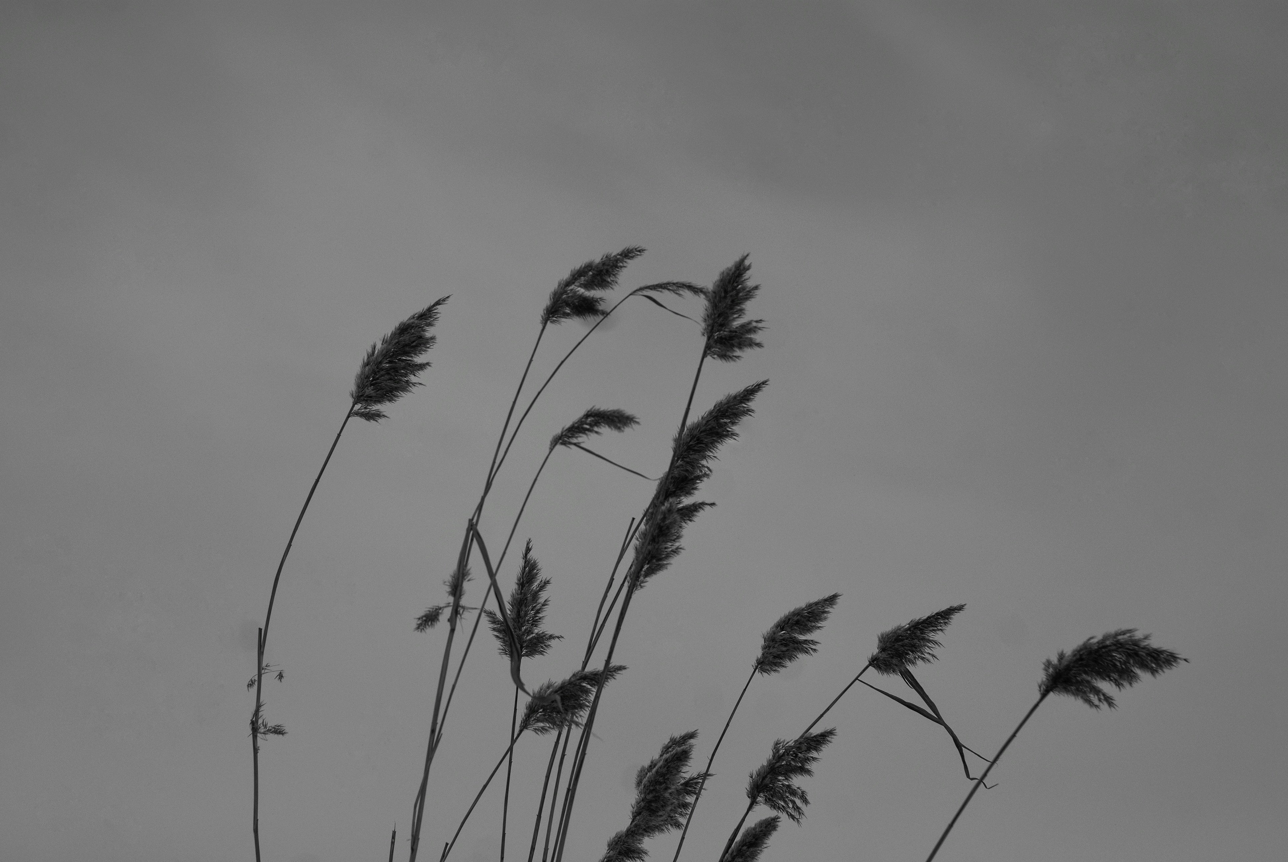 Внутривенные сны (2018-2023)