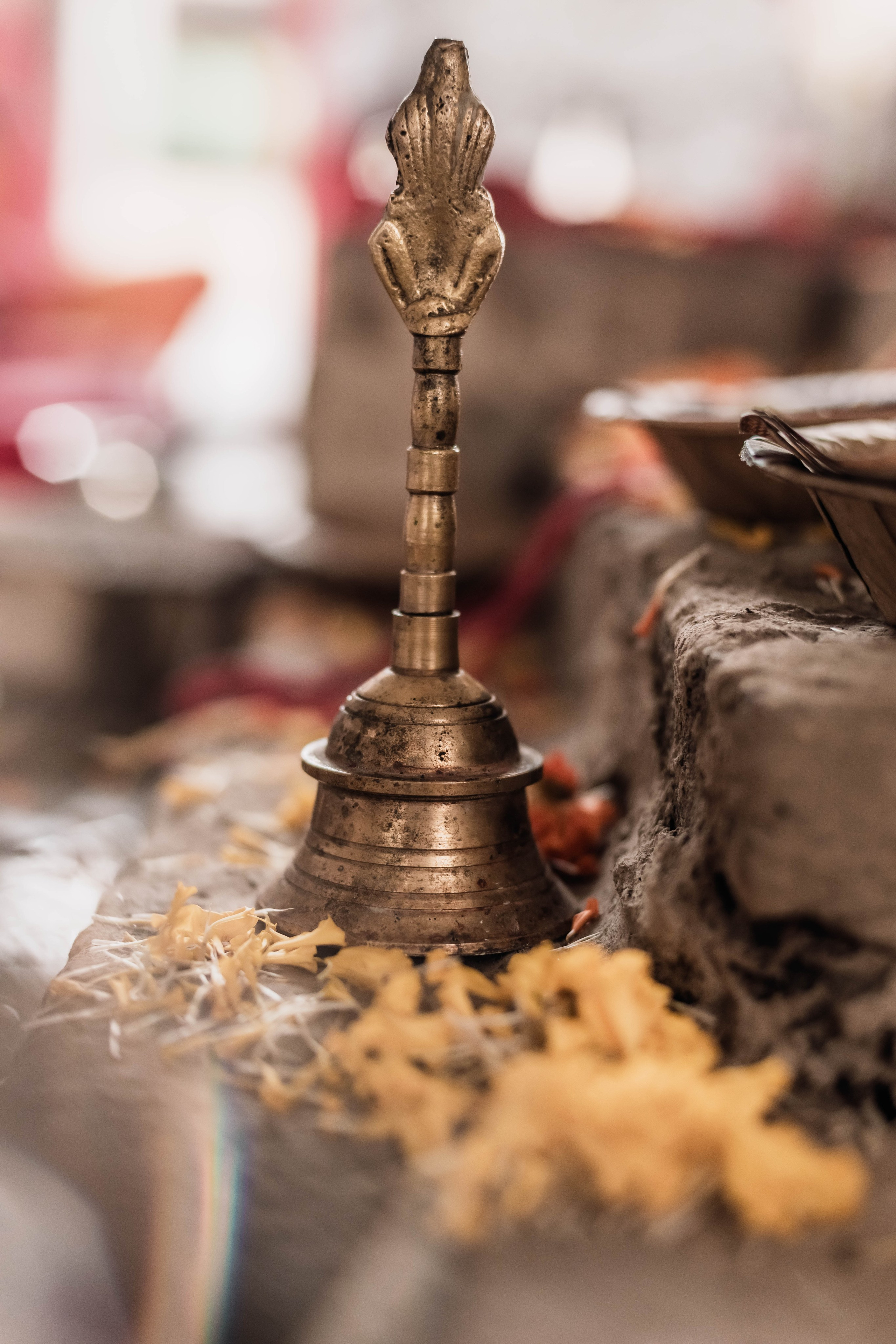 Pitri Paksha yagyas & poojas Devraha Baba ji ashram. Mariam Bagdasaryan