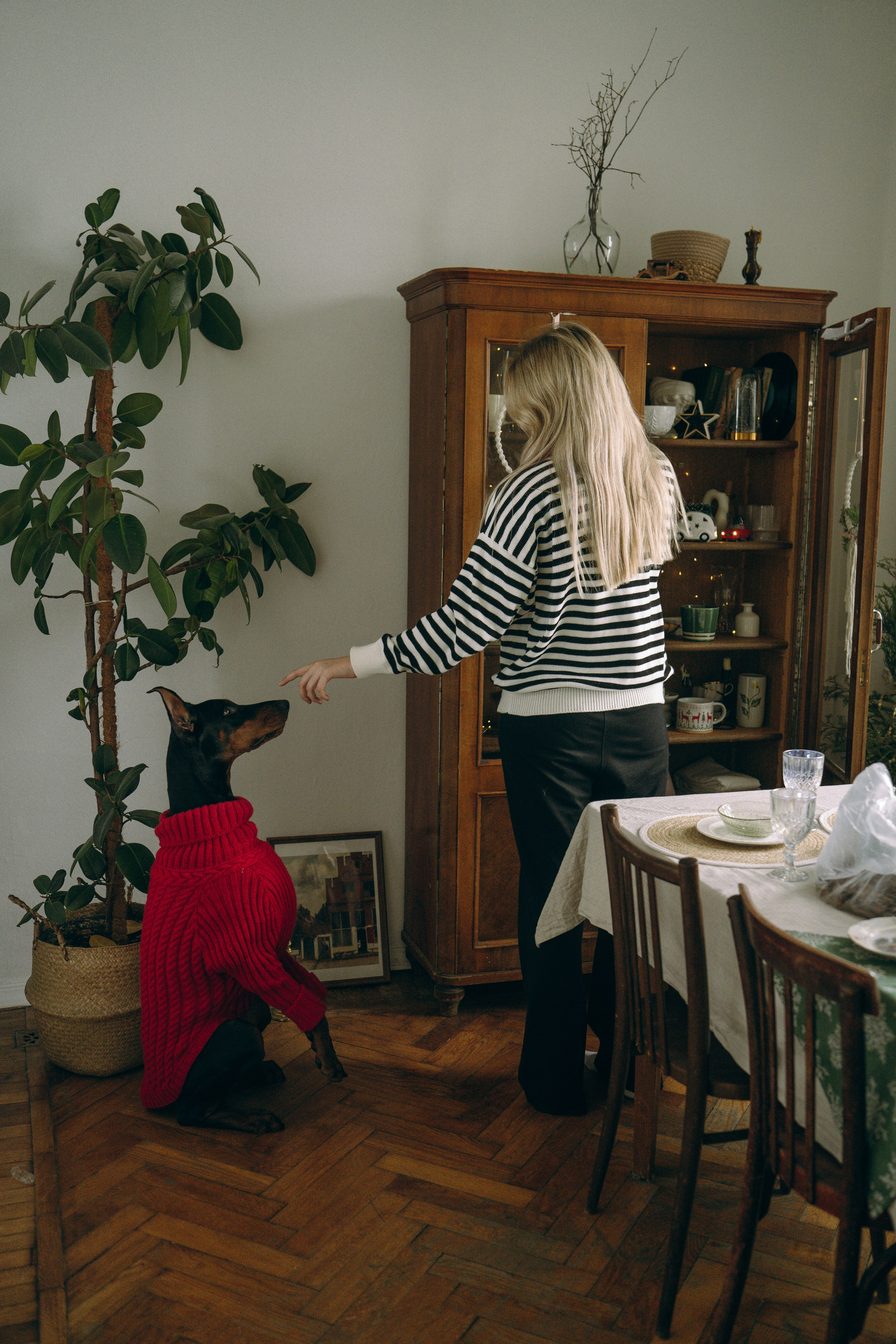 Саша и Асти. Фотограф анималист в Москве и Санкт-Петербурге Свиридова Анна