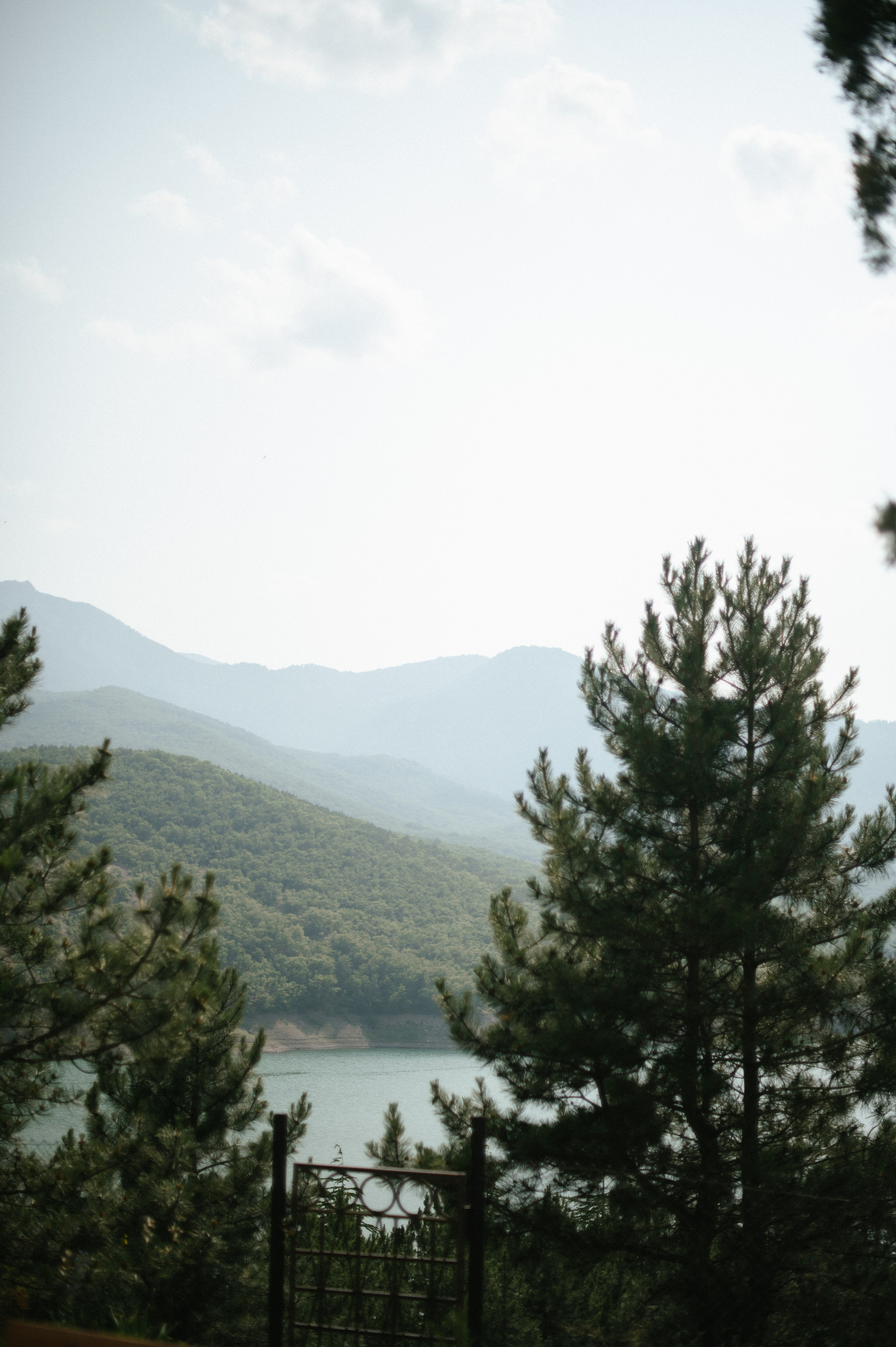 12.06.25. Свадебный, женский, семейный фотограф в Севастополе Юлия Мошенко