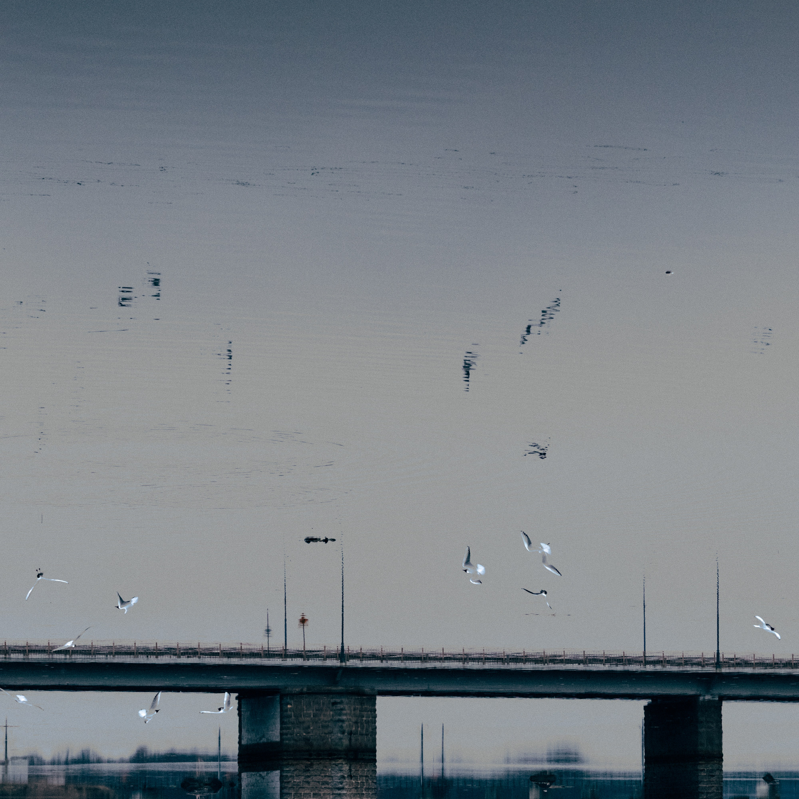 Пейзаж. Портретный фотограф Виктор Льерена