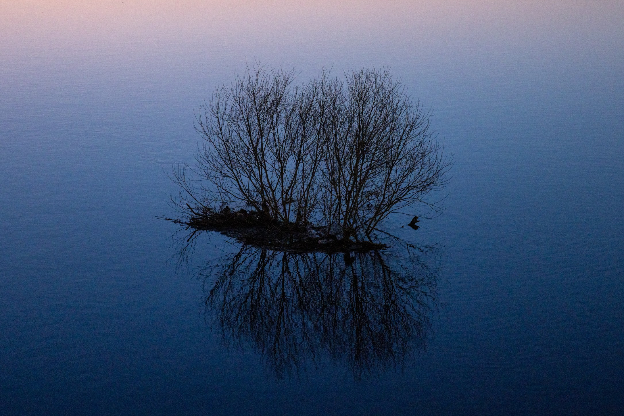 Паводок на Оке. Фотограф в Туле Крупский АнДРей. Фотостудия «КАДР71» в Туле