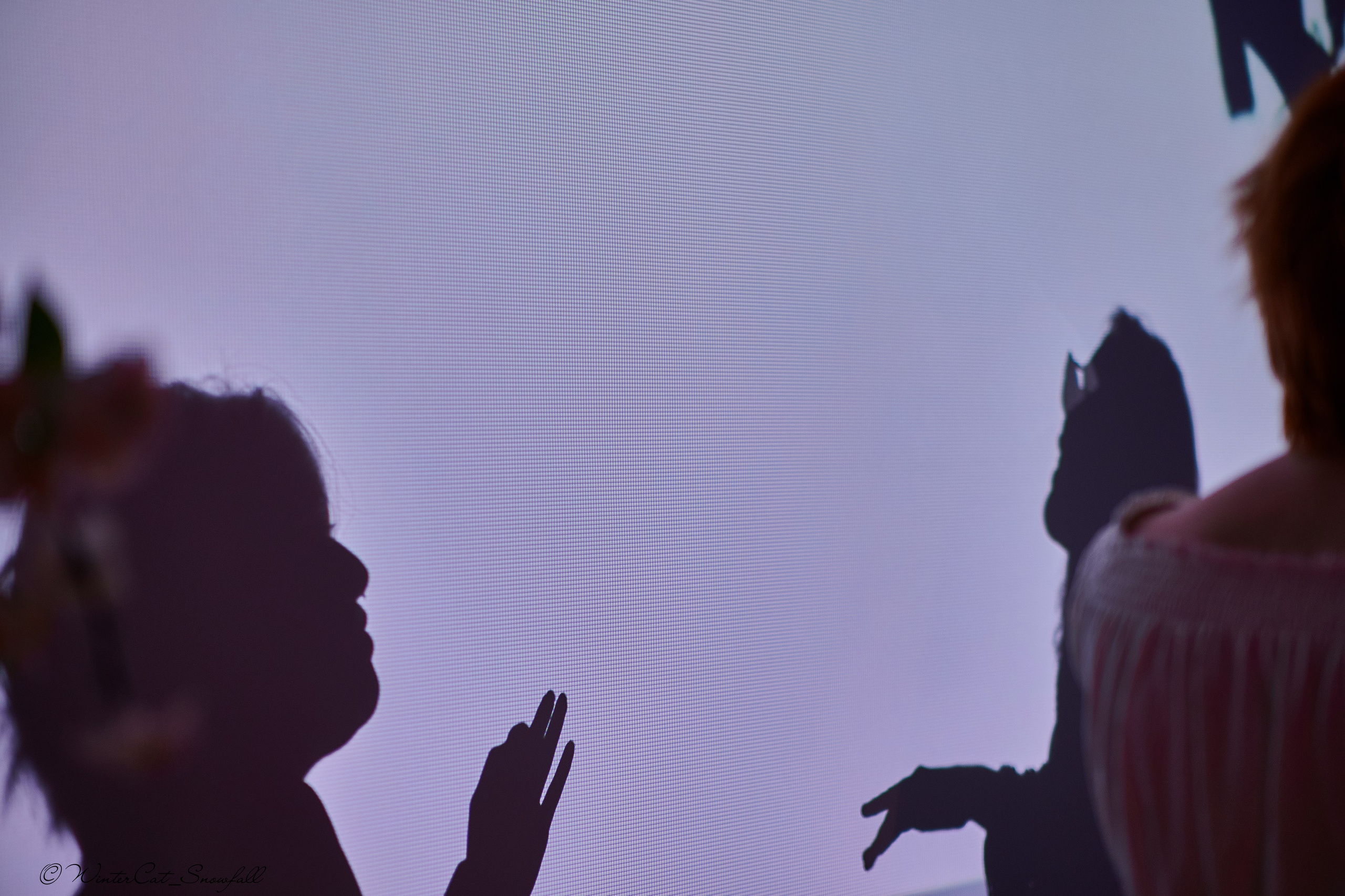 Крик (Чайка 11.05.24). Портретный и репортажный фотограф в Магадане Андрей Нефедов WinterCatPhoto