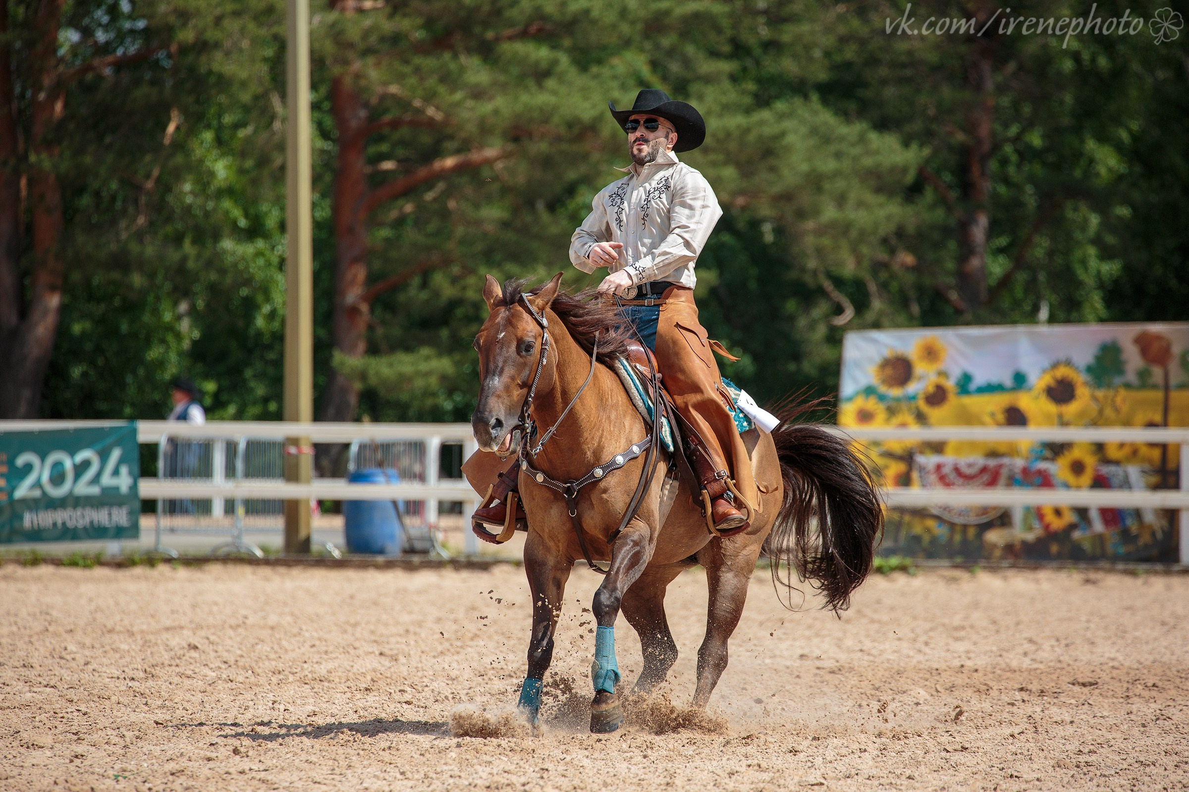 Иппосфера 2024. Irenephoto.ru