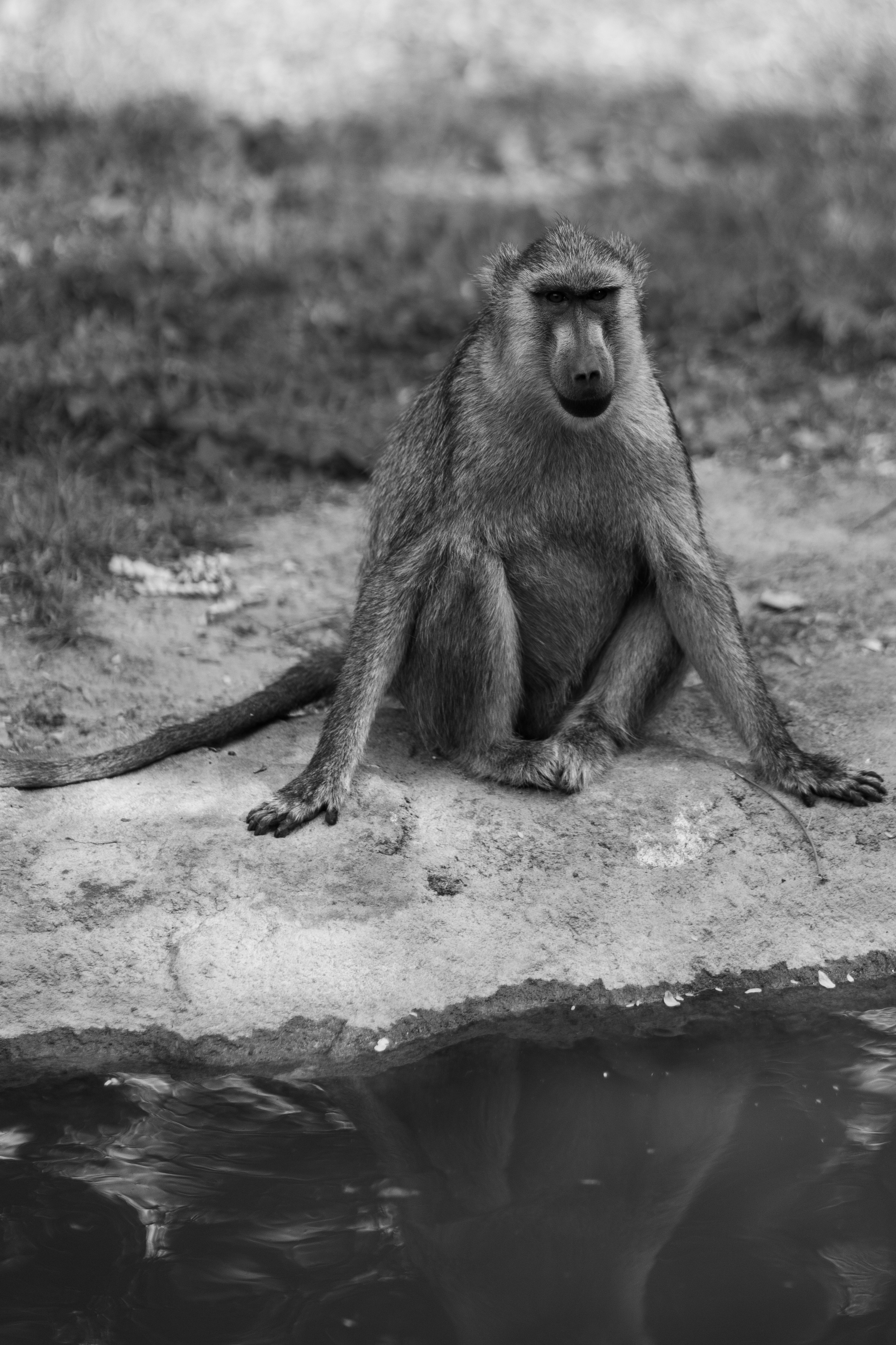 Дубай 2023. Руслан Плахтеев