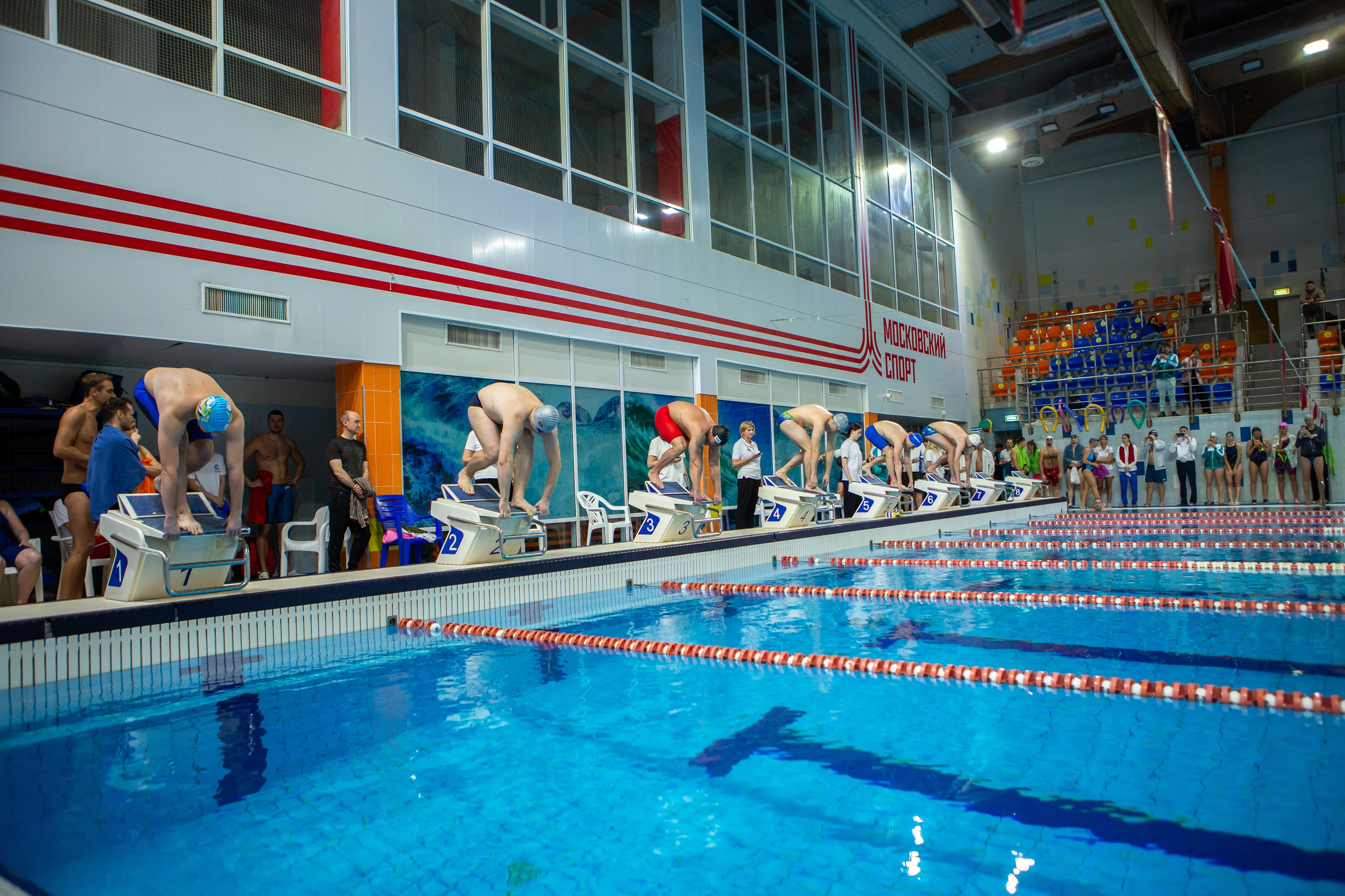 Турнир по плаванию. Репортажный, семейный, свадебный, портретный фотограф