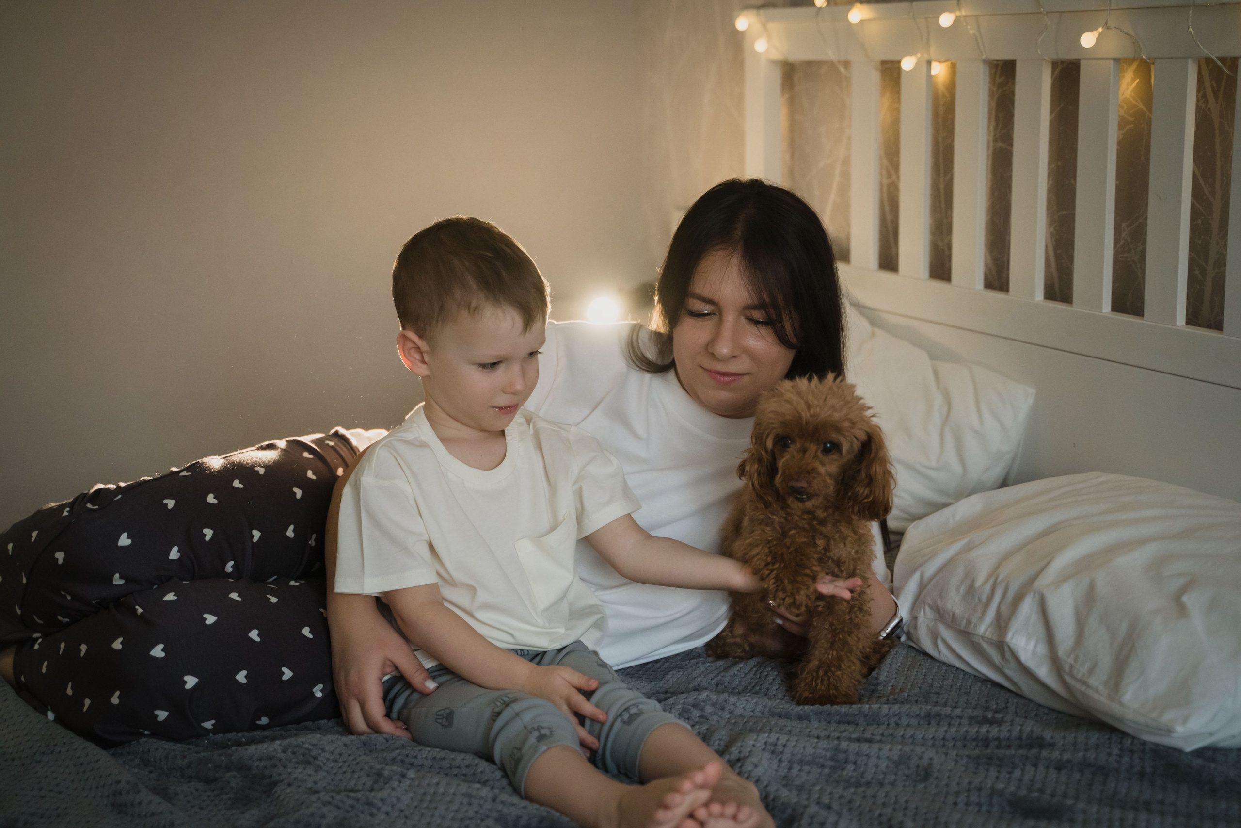 Предновогодний вечер. Главная