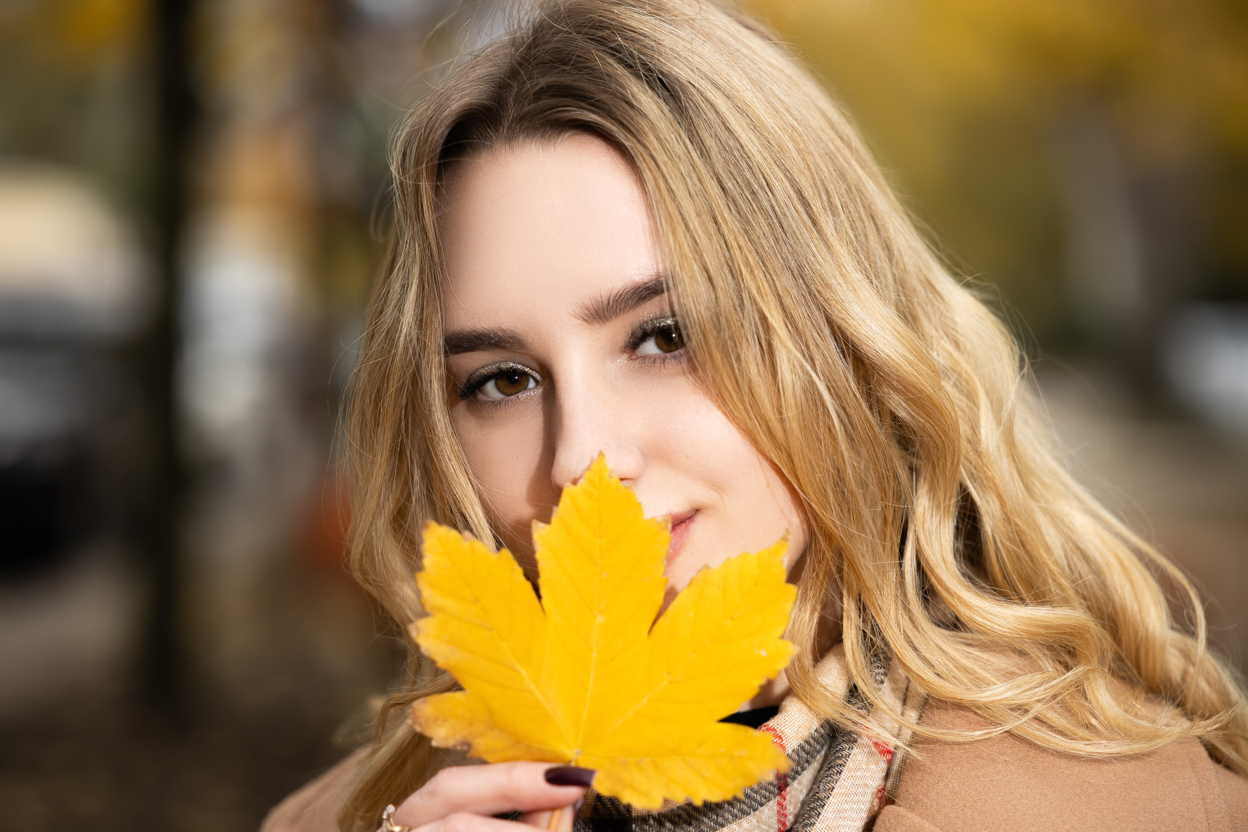 Осень. Фотограф в Донецке Кармазин Александр