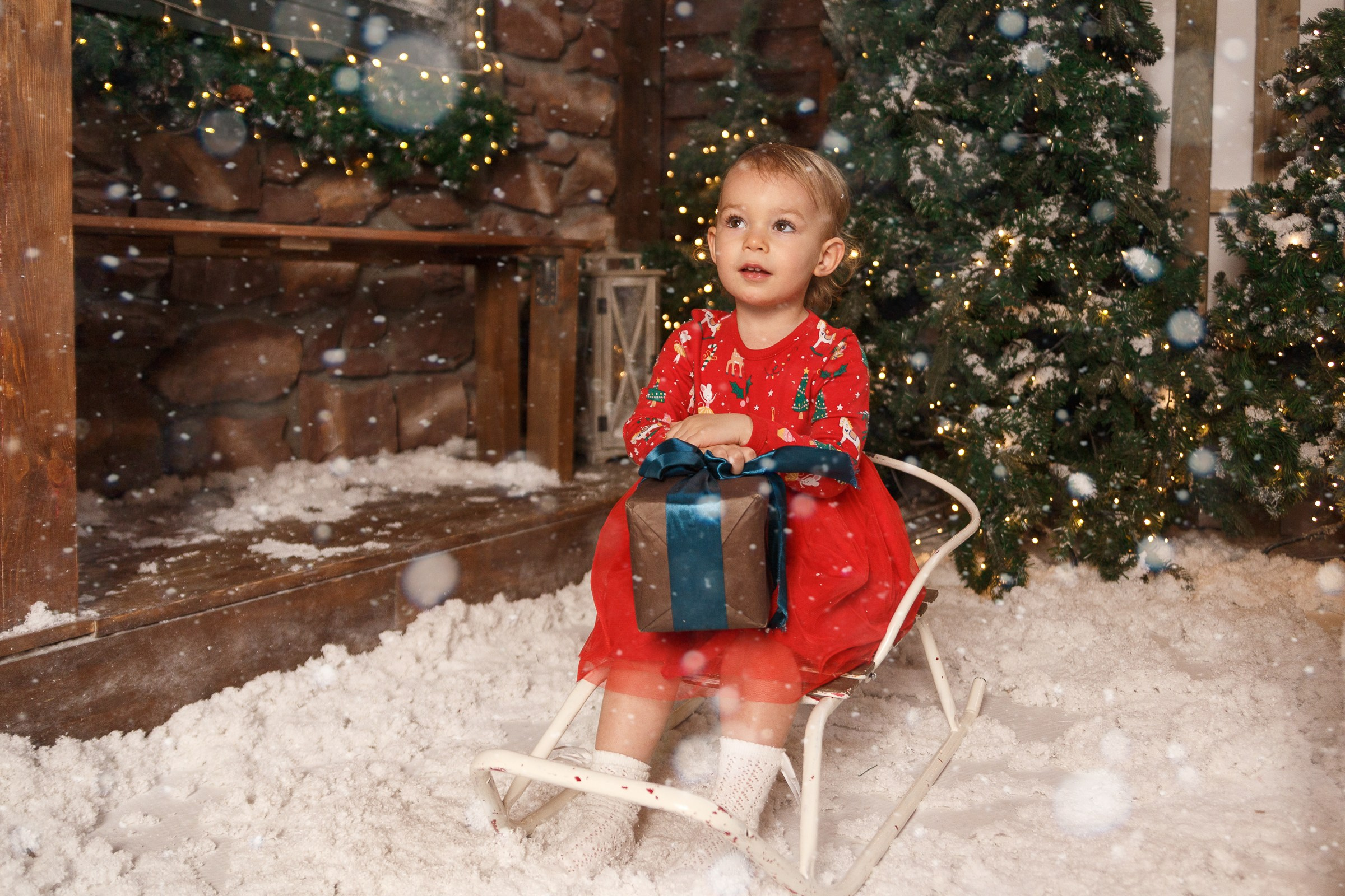 Вера, Роман и Мира. Свадебный и семейный фотограф в Новосибирске Дарья Кель