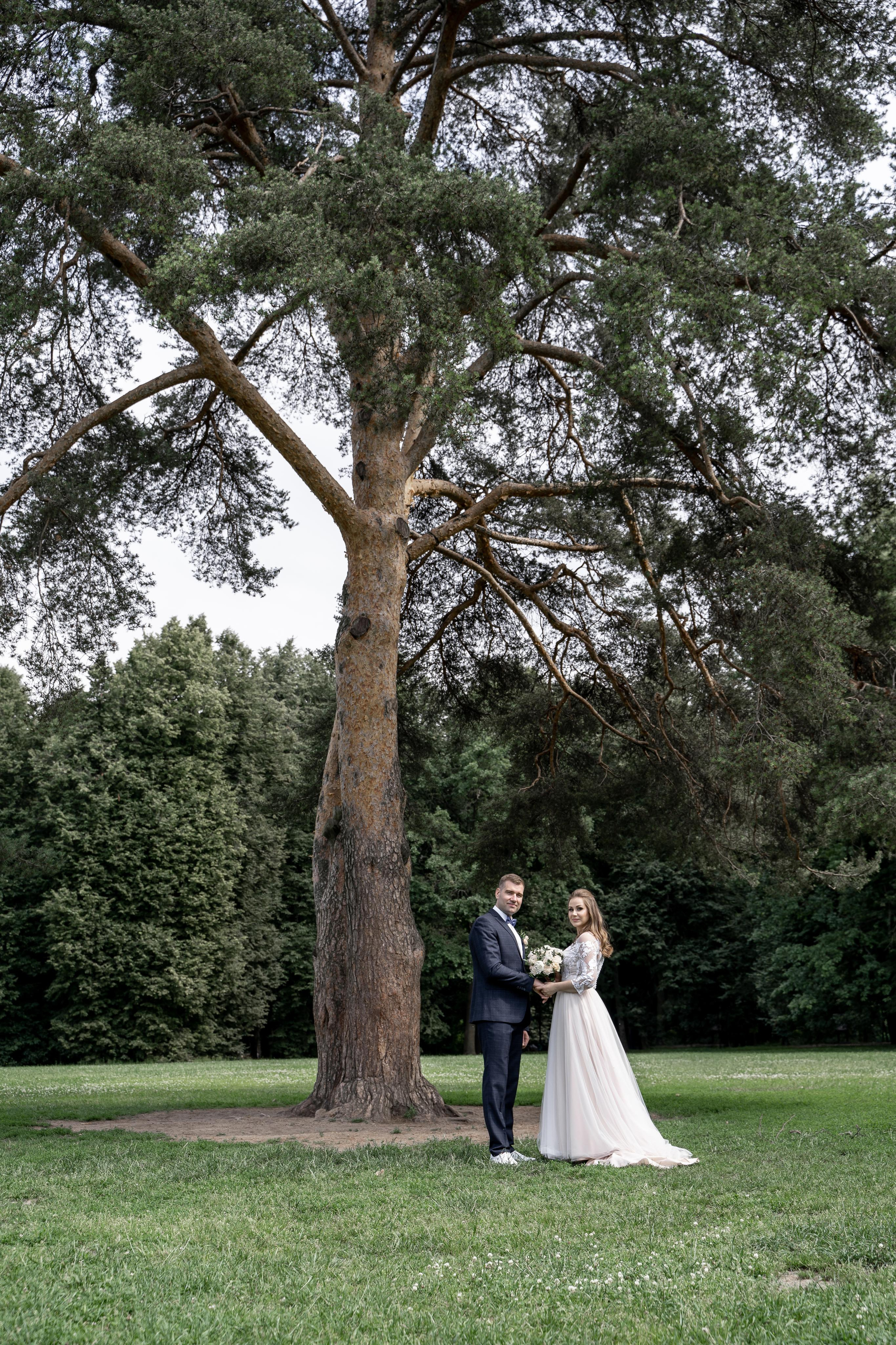 Регистрация брака, роспись во дворце бракосочетания Видное.  Видновский ЗАГС. Свадьба , свадебная фотосессия в Москве, свадебная фотосессия Видное, Бутово, Домодедово. Свадебный и семейный фотограф Видное. ЗАГС Видное. Грибоедовский ЗАГС. Свадебная прогулка в Царицыно. Фотограф на свадьбу. Свадебная прогулка в Москве.