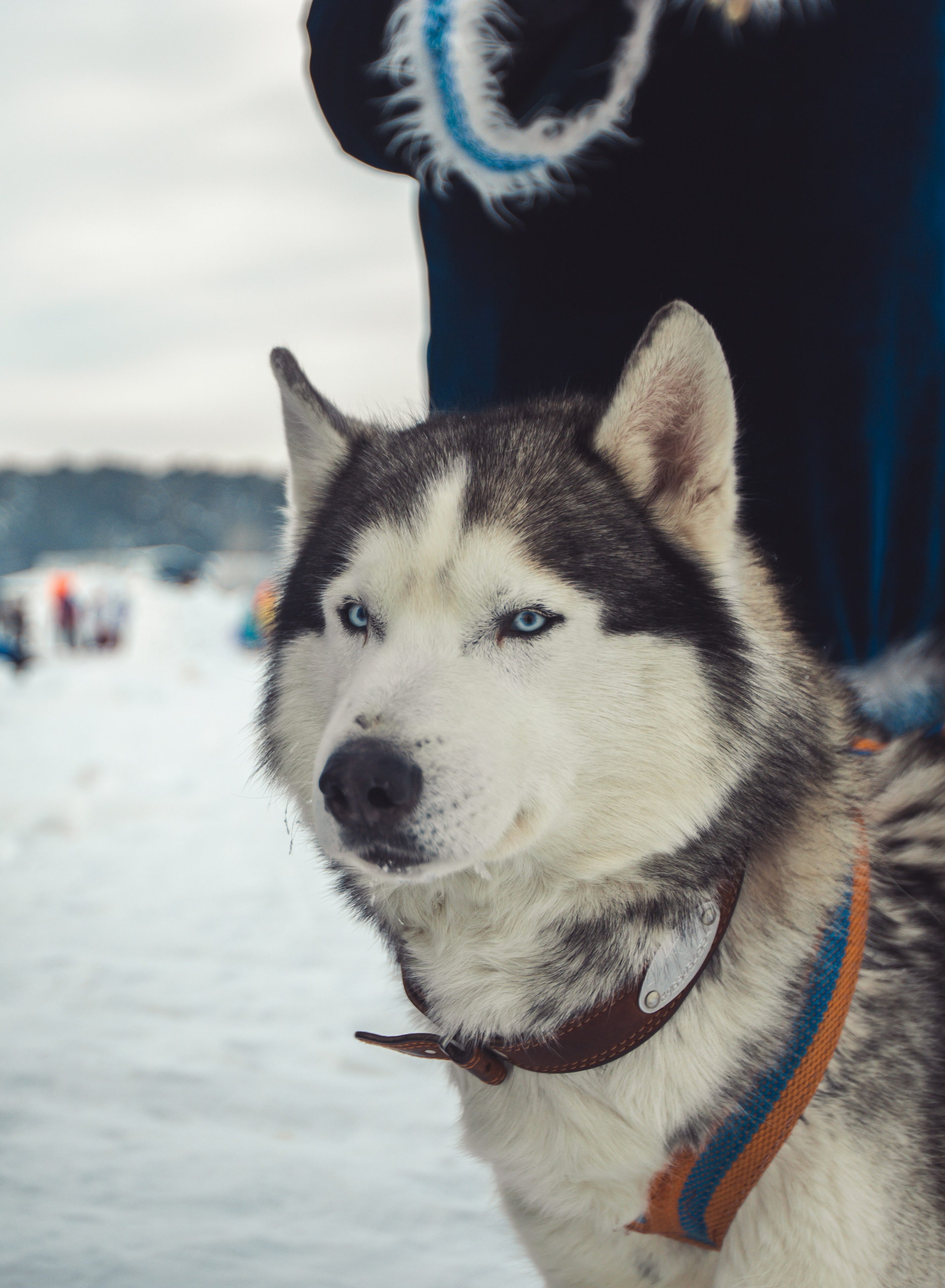 Фестивали. Репортажный и свадебный фотограф в Новосибирске Марина Красавина