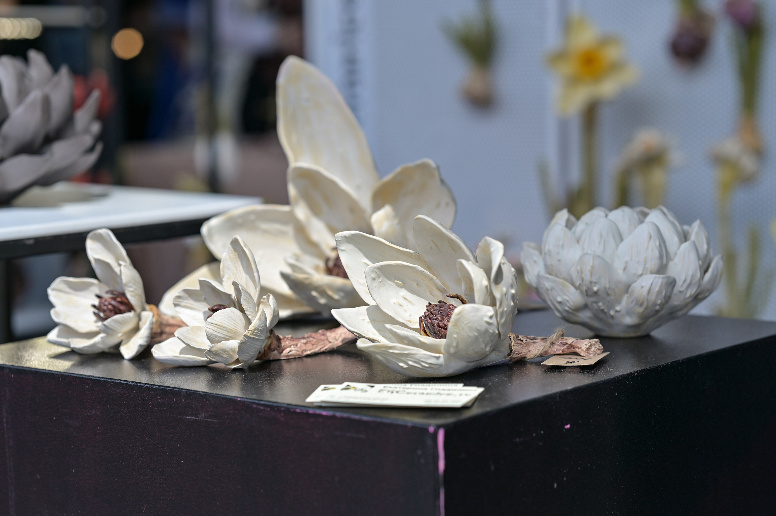 Ceramania Лето 2025 г. Семейный и репортажный фотограф в Москве Анастасия Трубкина