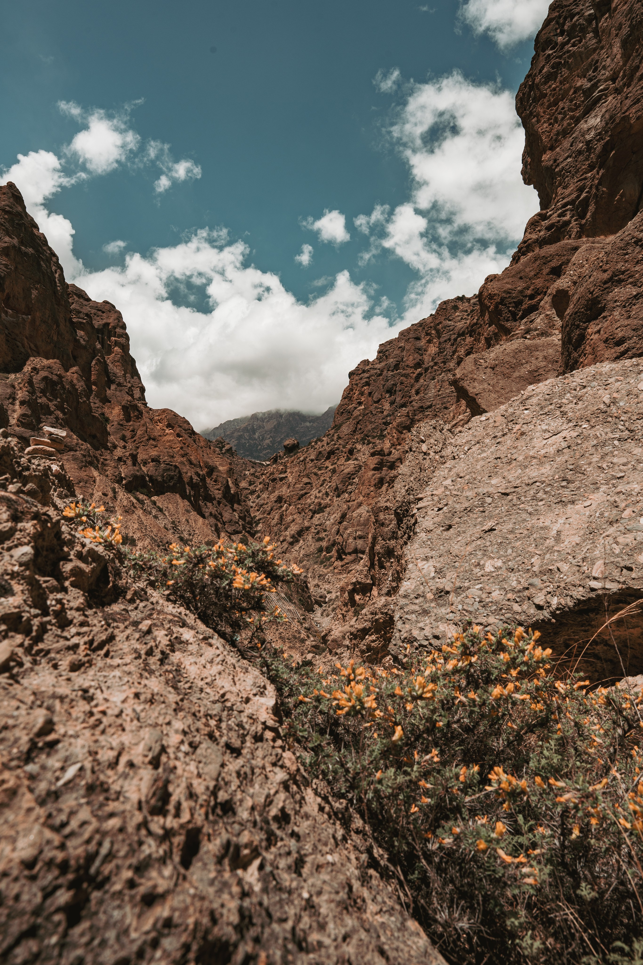 Королевство Мустанг. Dmitry Ippolitov