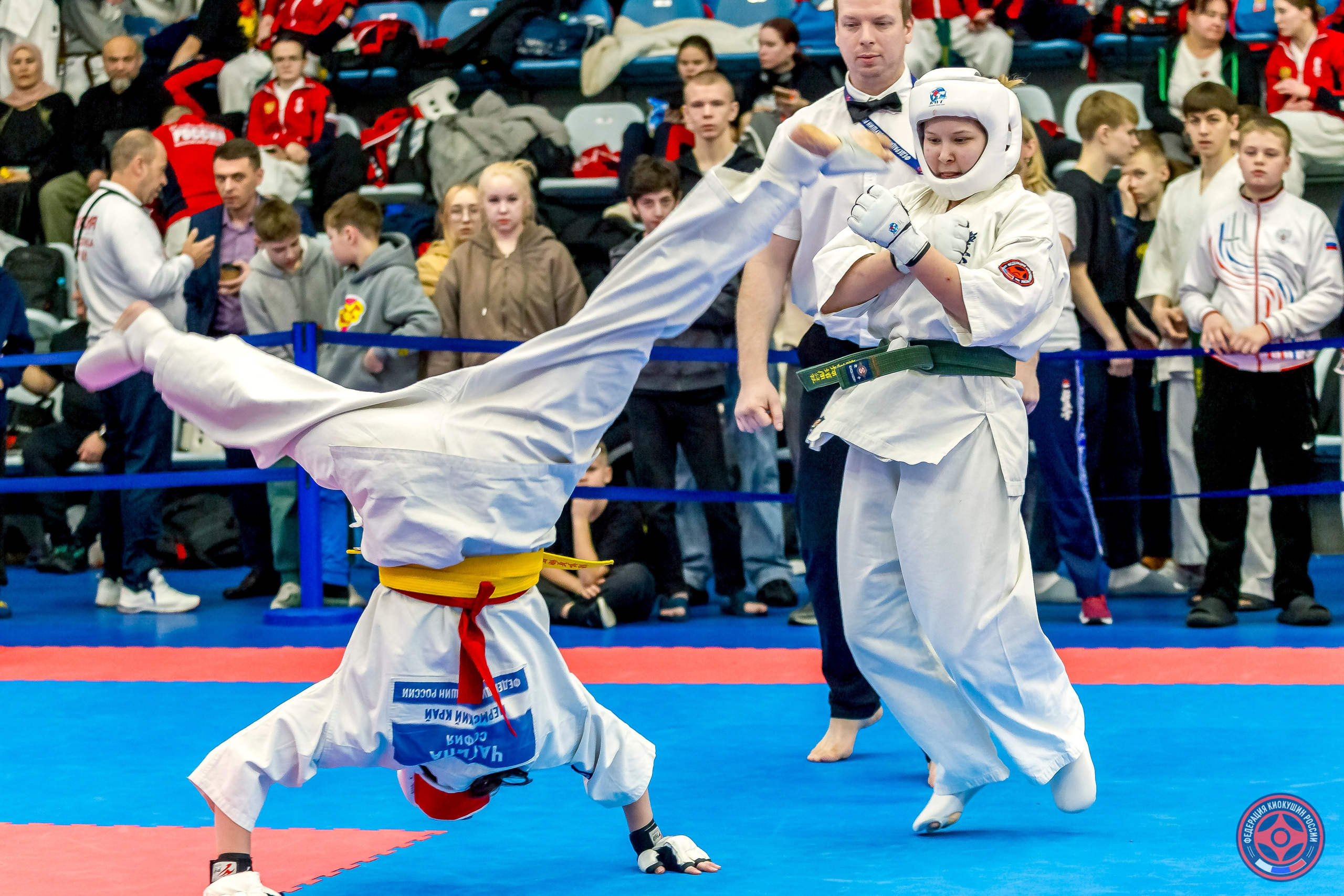 Международный турнир по киокушин «Открытый кубок Seiken». Репортажная съемка в Москве и области. Анималистика