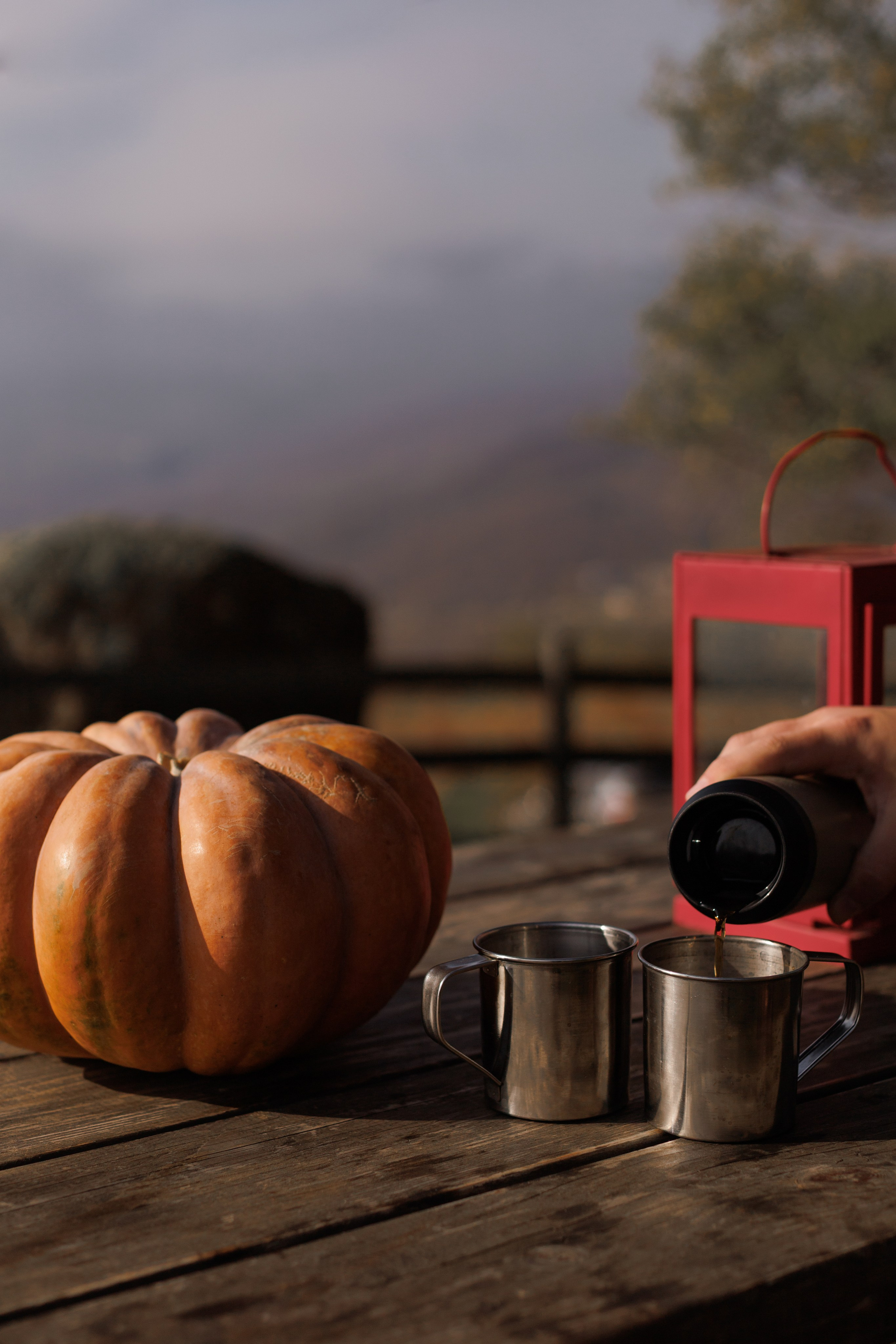 С папой вдвоем. Фотограф в Симферополе Мария Назарова