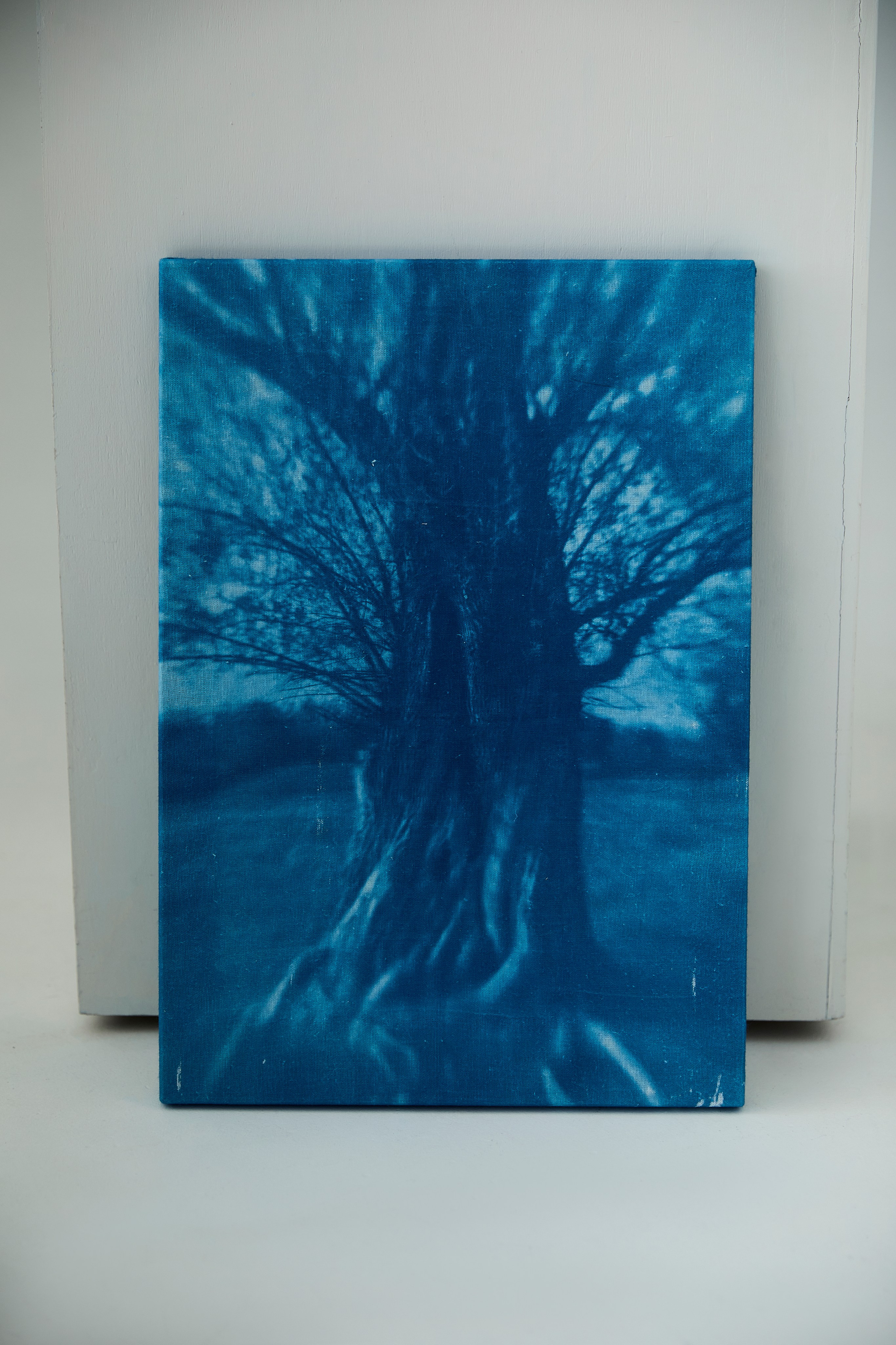 CYANOTYPE. Visual artist/photographer Dayneko Tatyana Krasnoyarsk