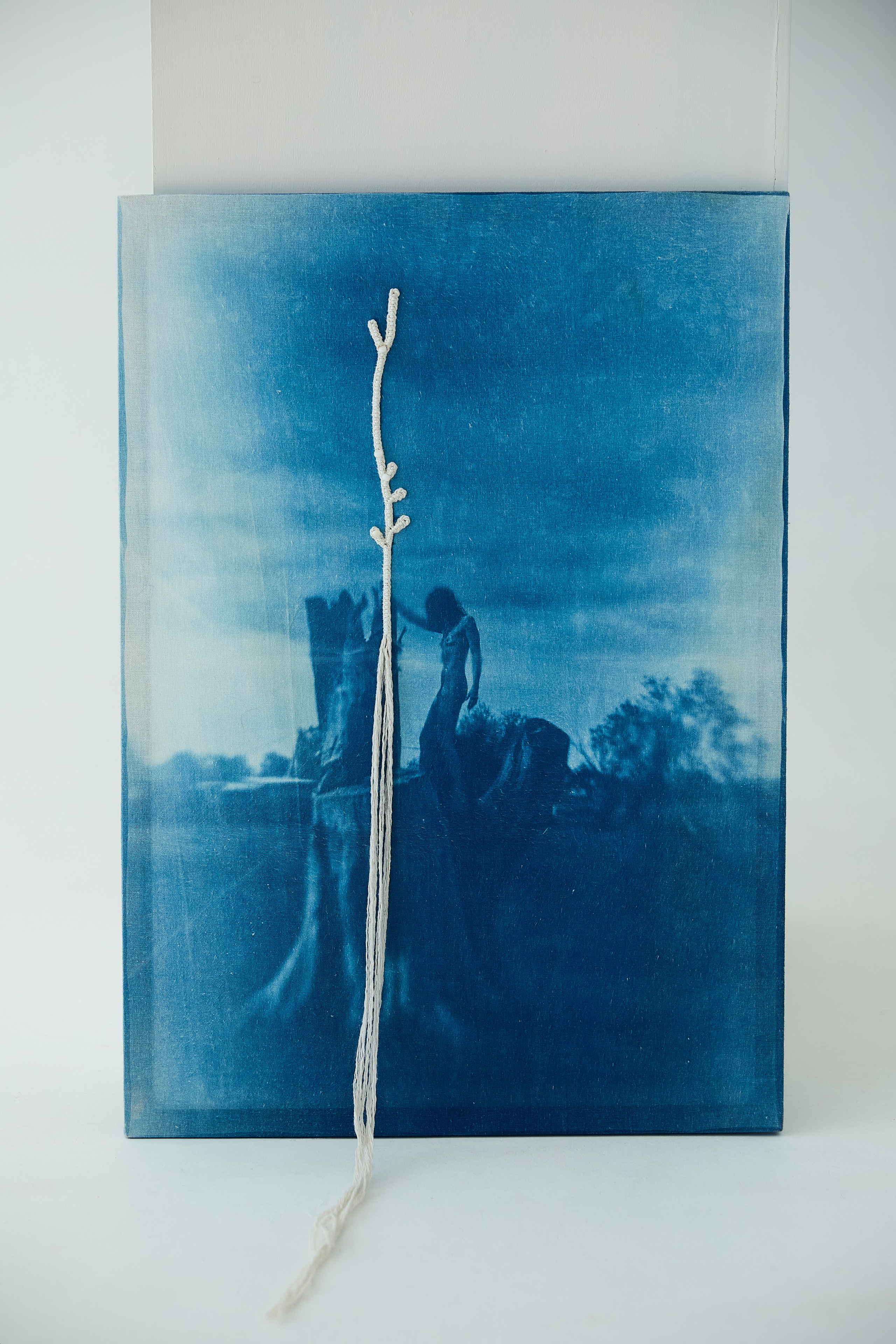 CYANOTYPE. Visual artist/photographer Dayneko Tatyana Krasnoyarsk