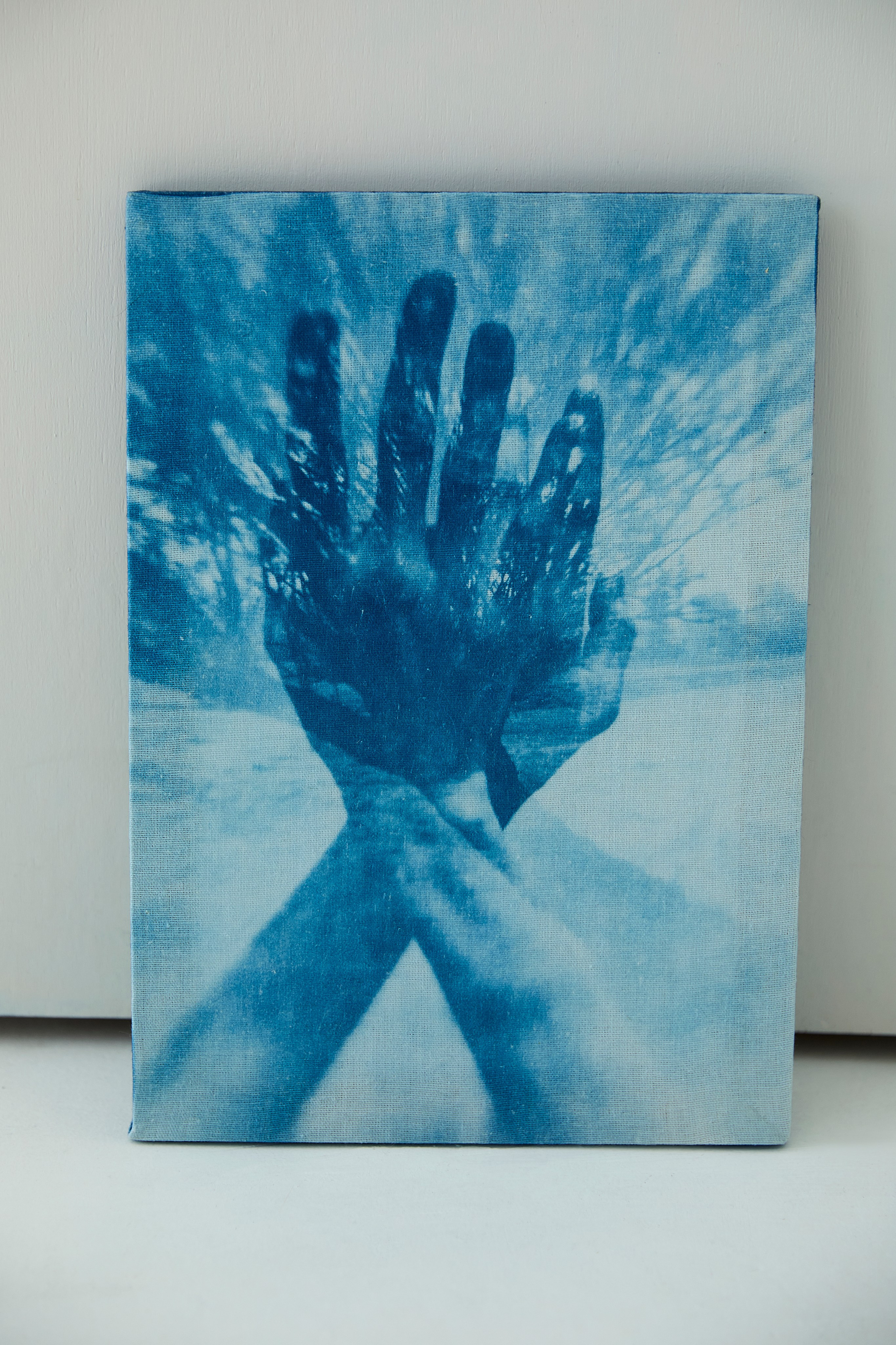 CYANOTYPE. Visual artist/photographer Dayneko Tatyana Krasnoyarsk