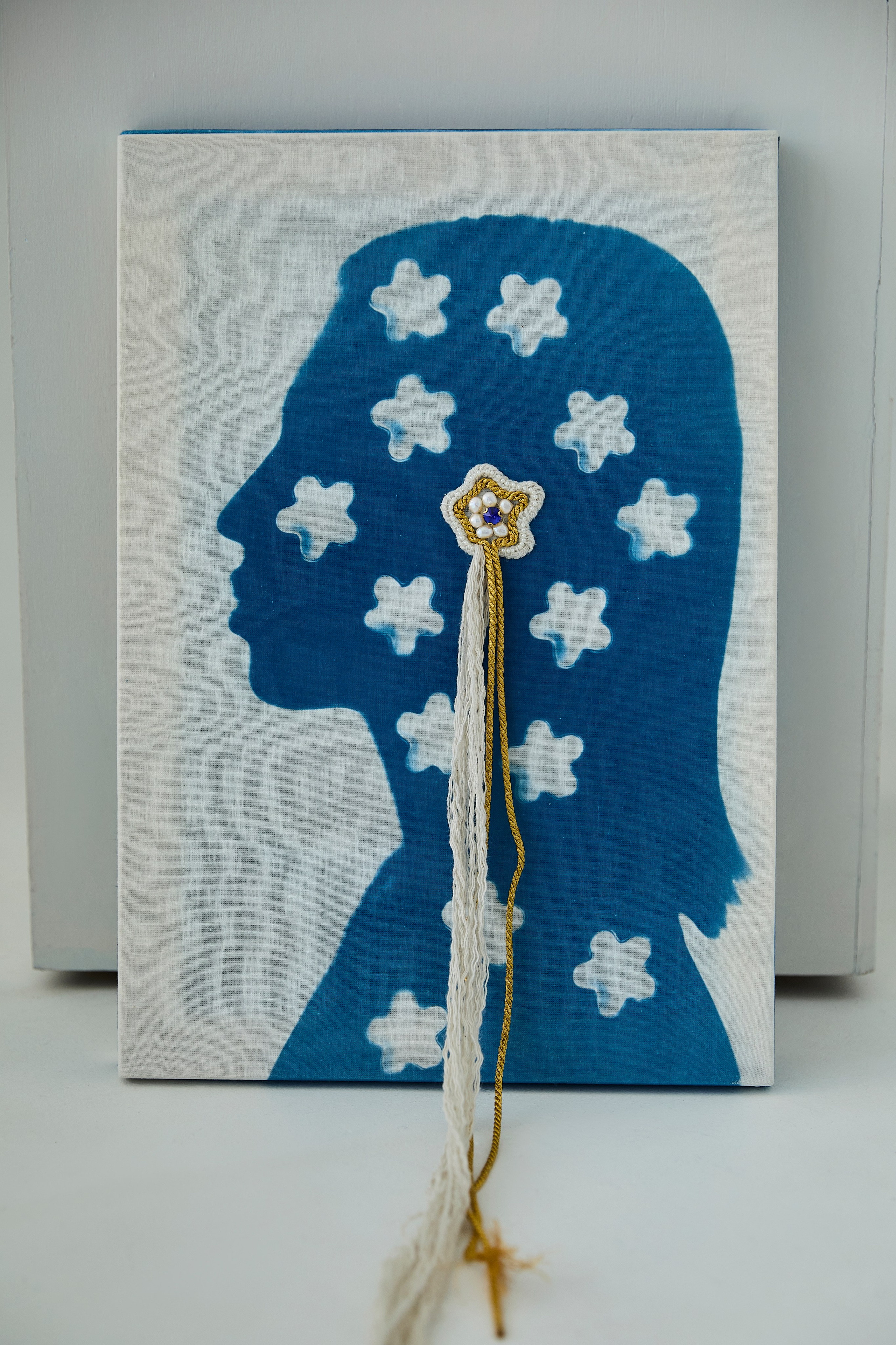 CYANOTYPE. Visual artist/photographer Dayneko Tatyana Krasnoyarsk