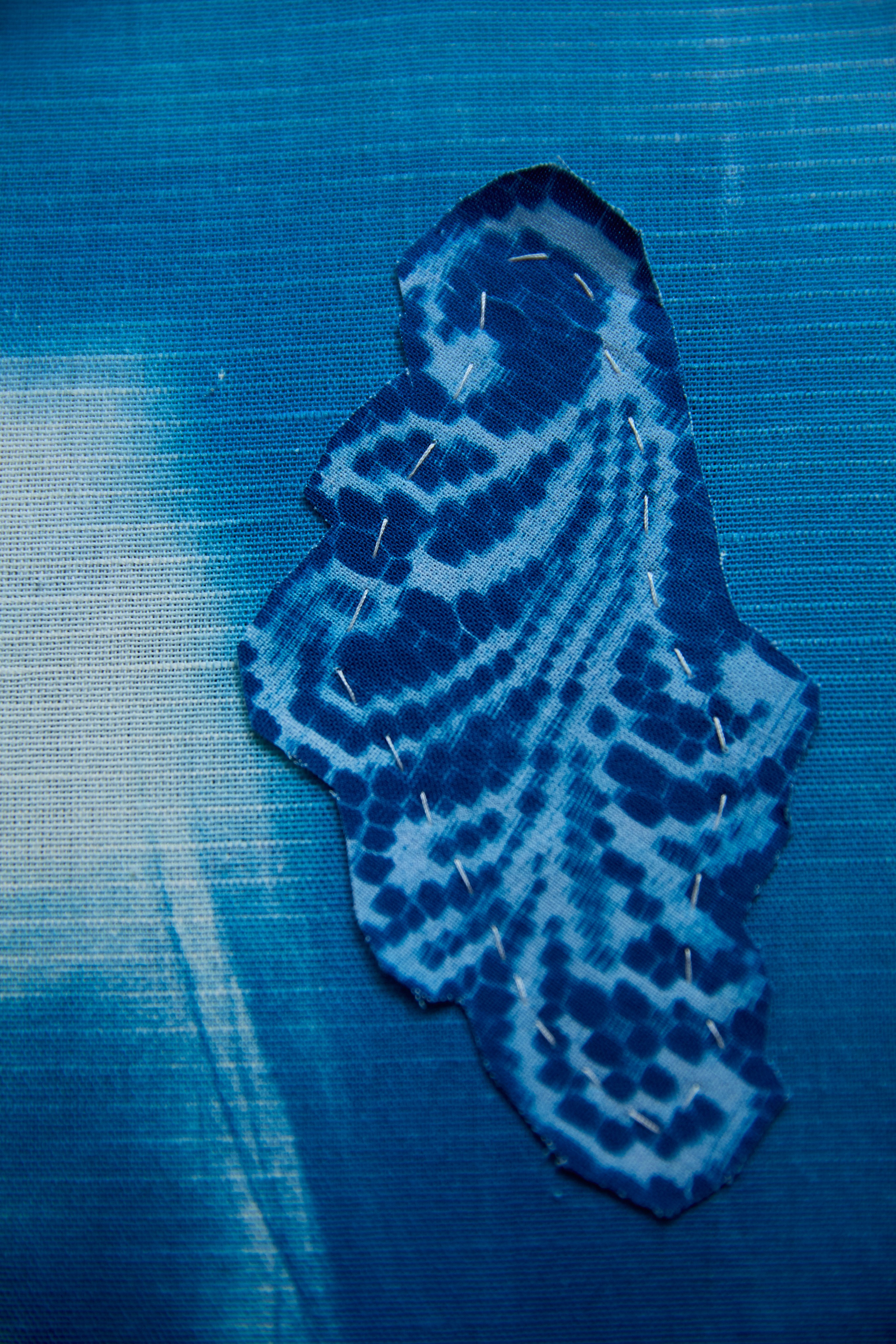 CYANOTYPE. Visual artist/photographer Dayneko Tatyana Krasnoyarsk